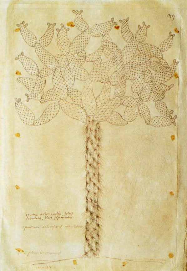 no full size  illustration available (3a)