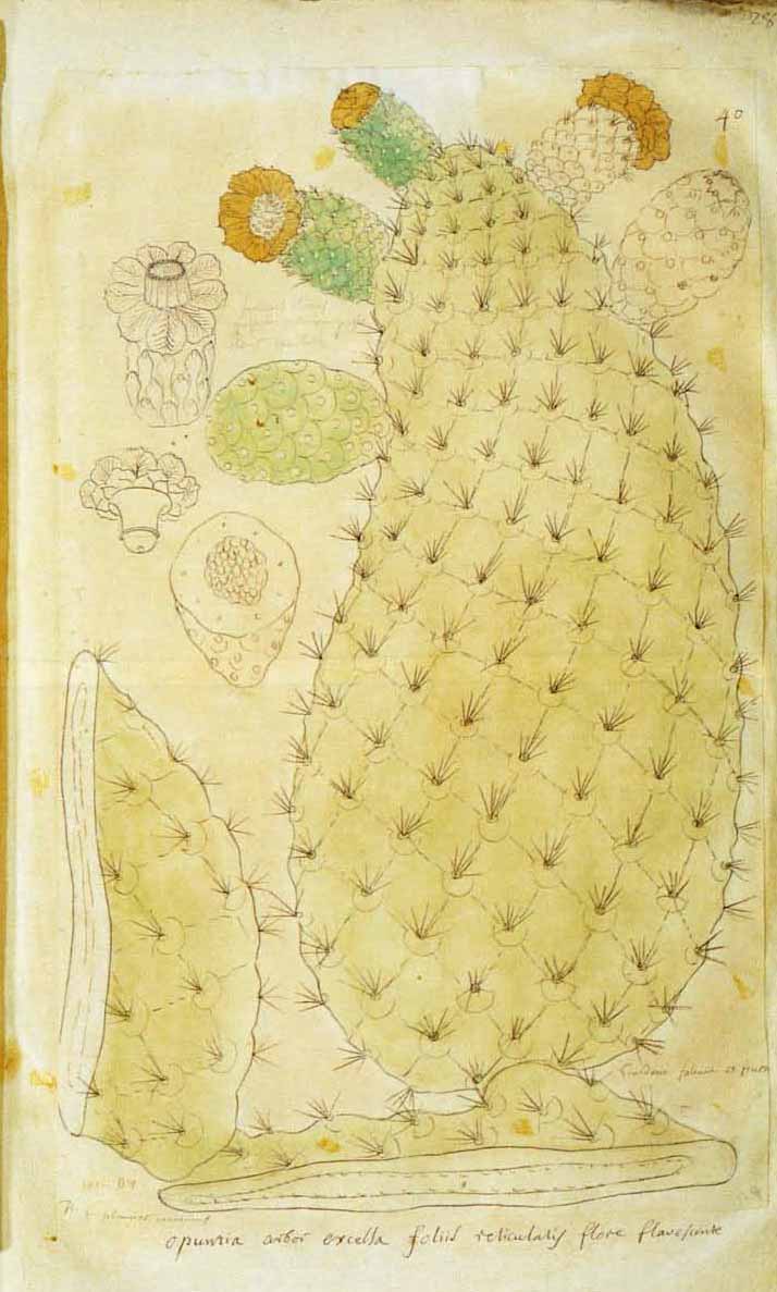 no full size  illustration available (3a)