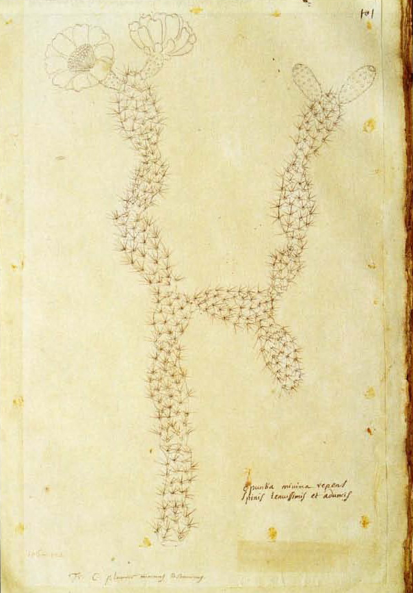 no full size  illustration available (3a)