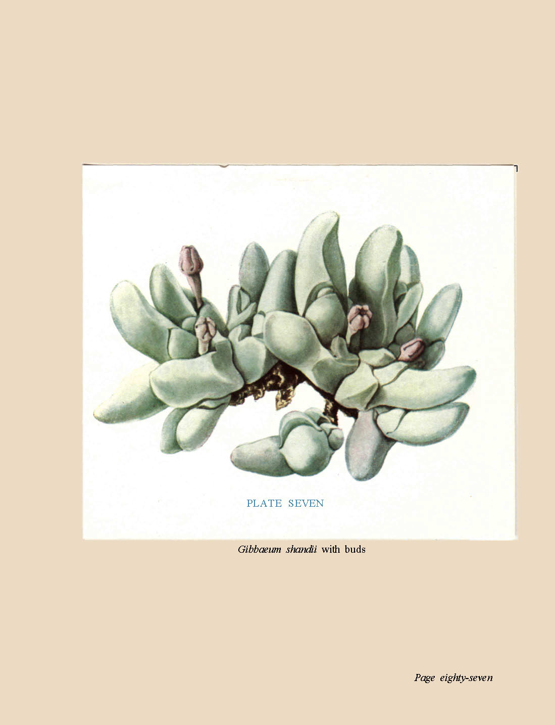 no full size  illustration available (3a)