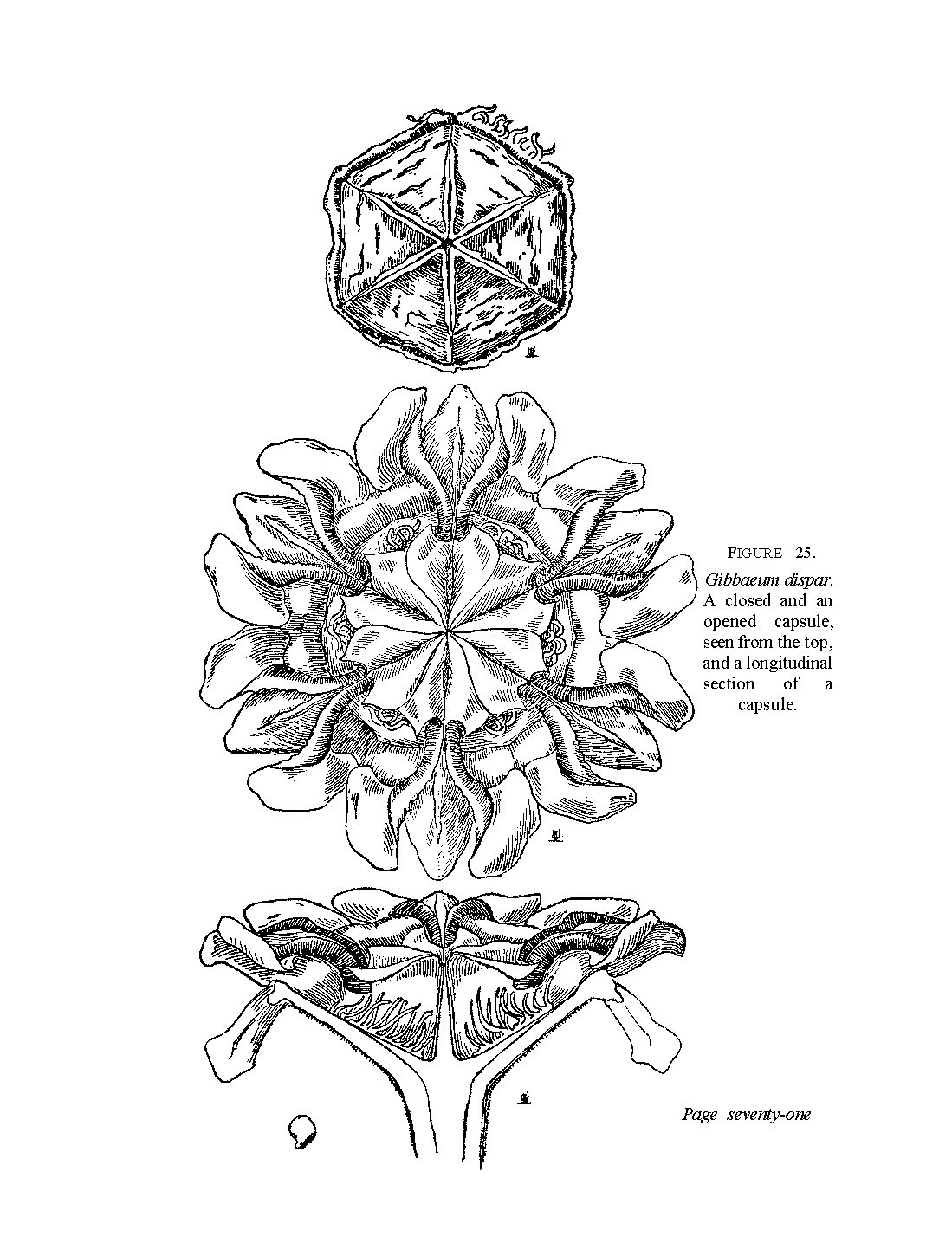 no full size  illustration available (3a)