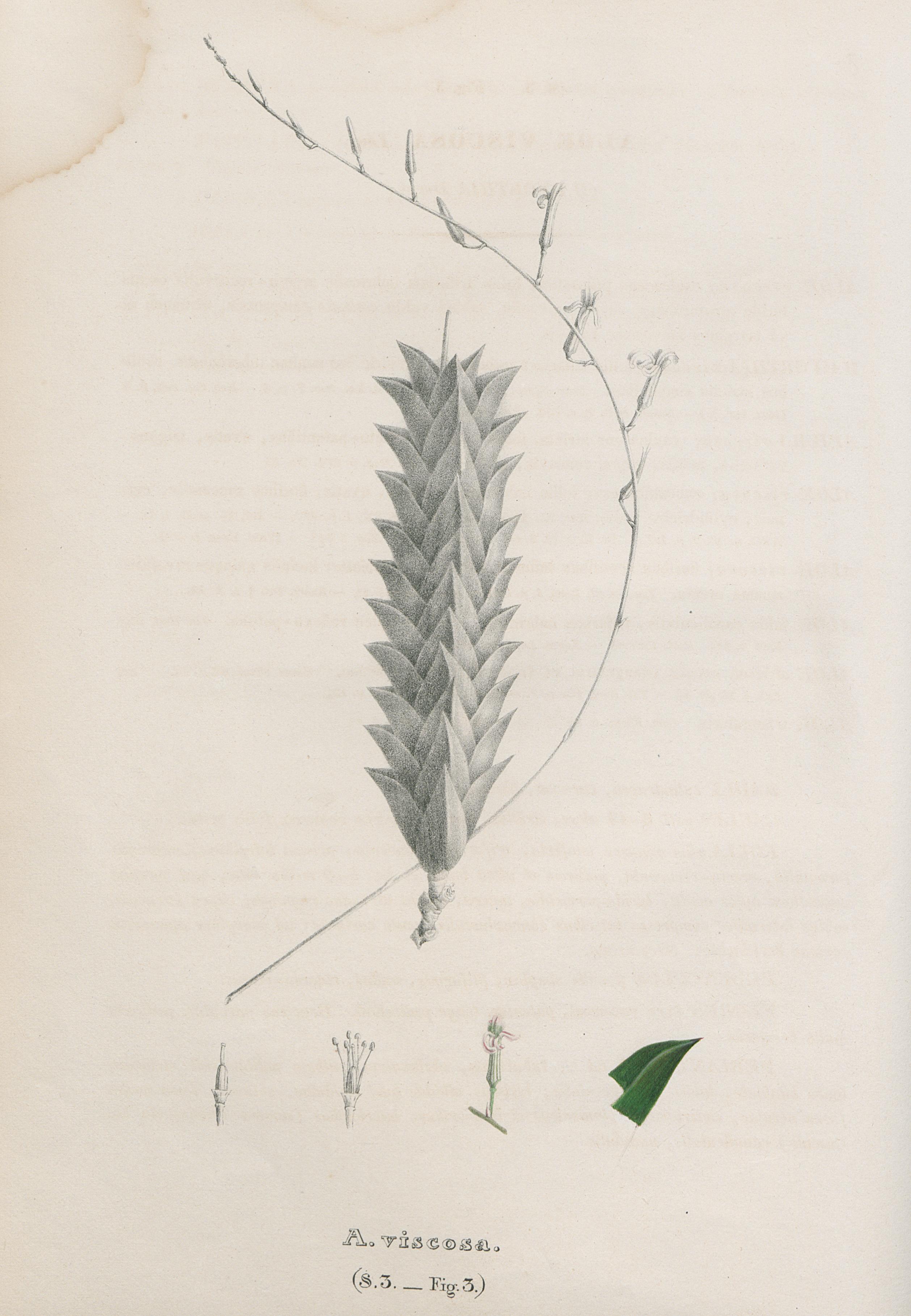 no full size  illustration available (3a)