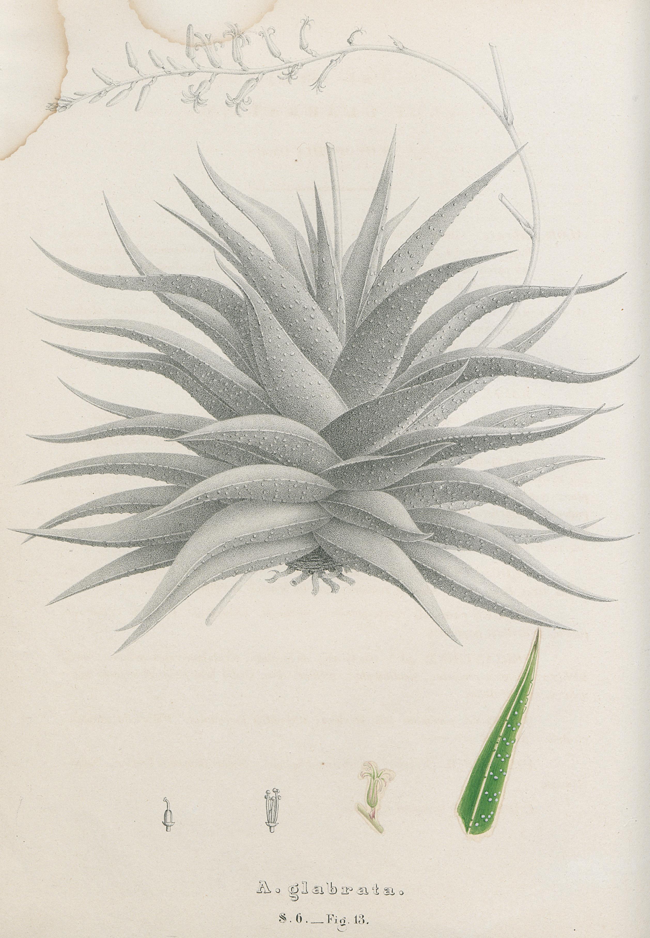 no full size  illustration available (3a)