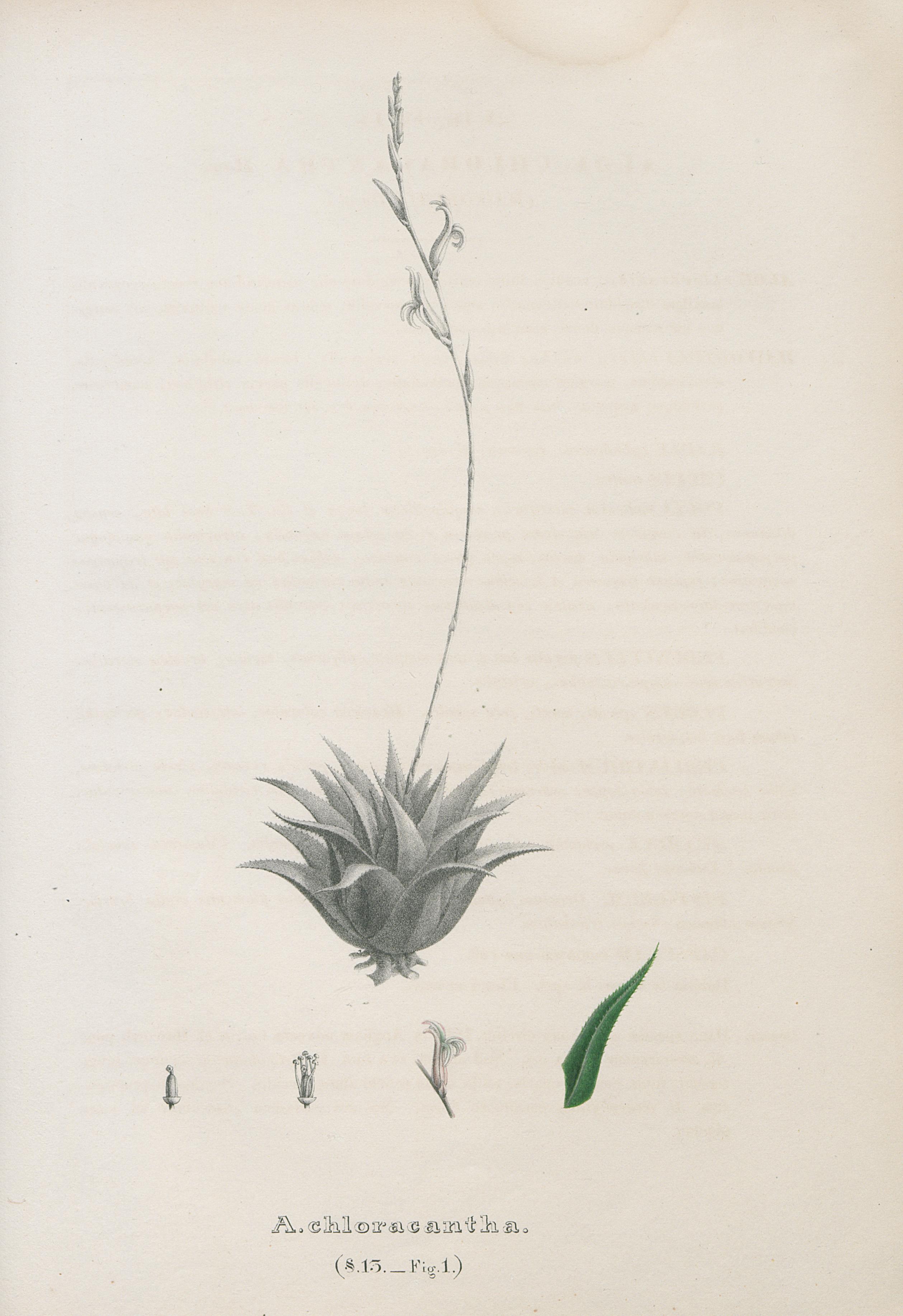 no full size  illustration available (3a)