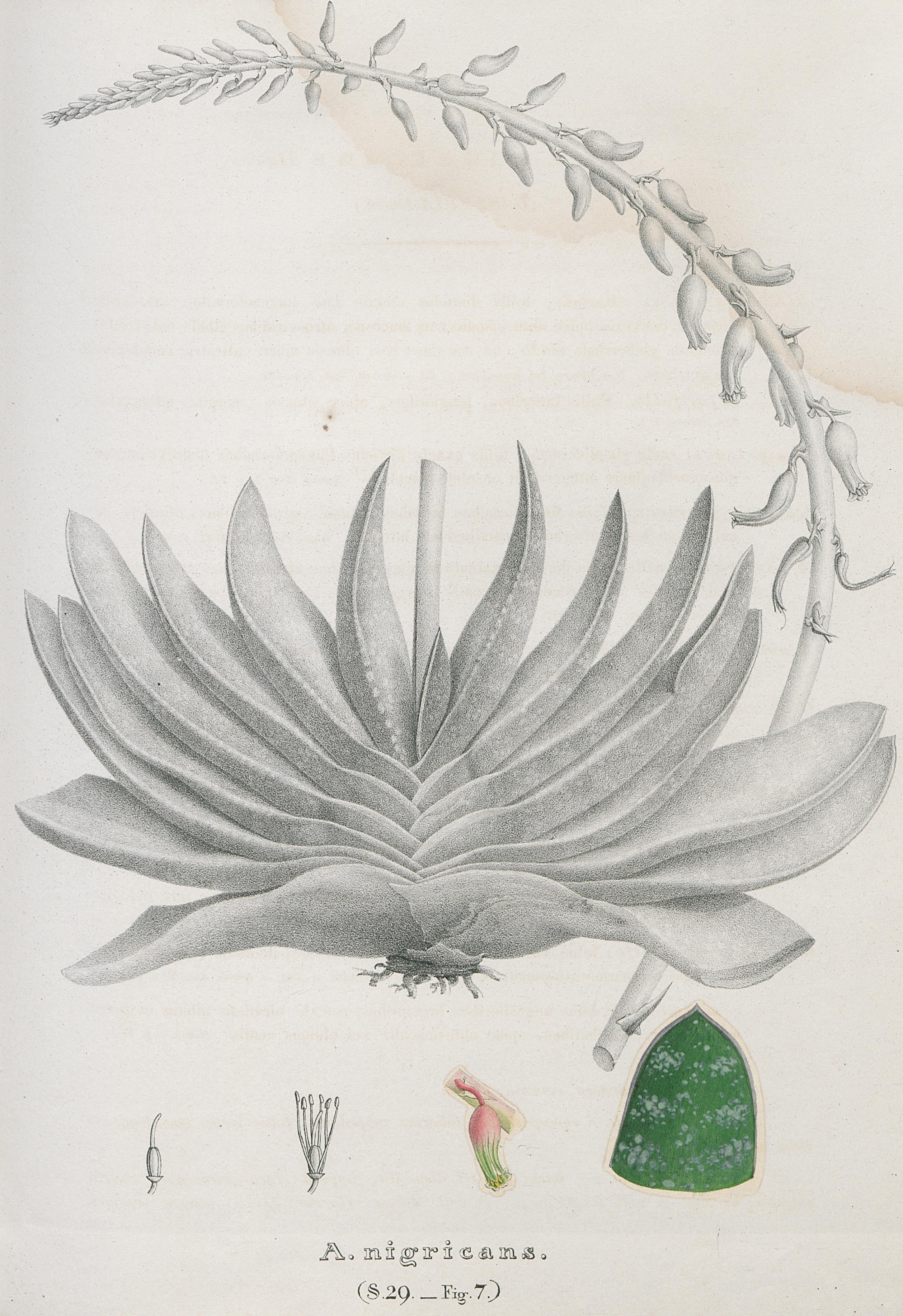 no full size  illustration available (3a)