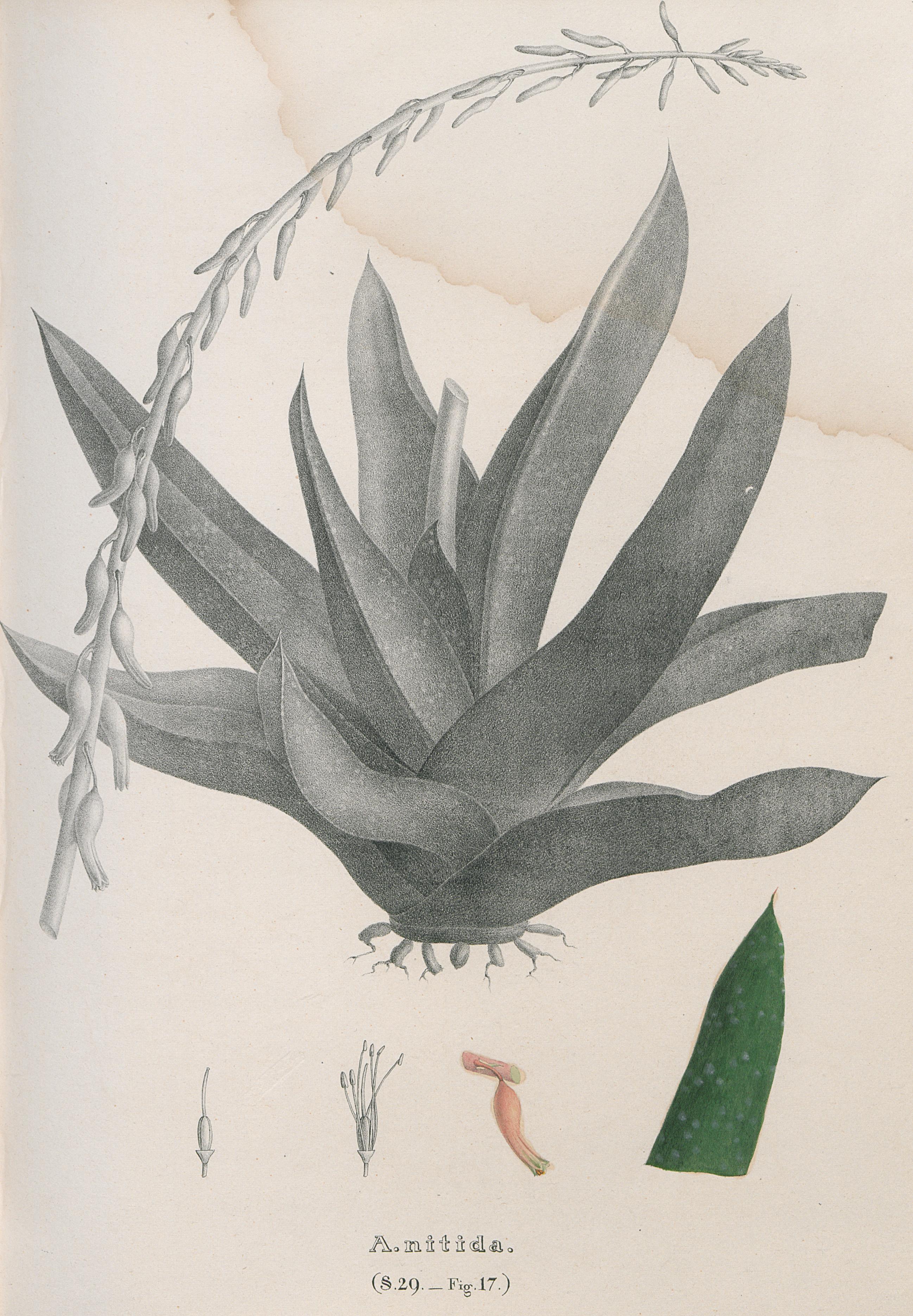 no full size  illustration available (3a)