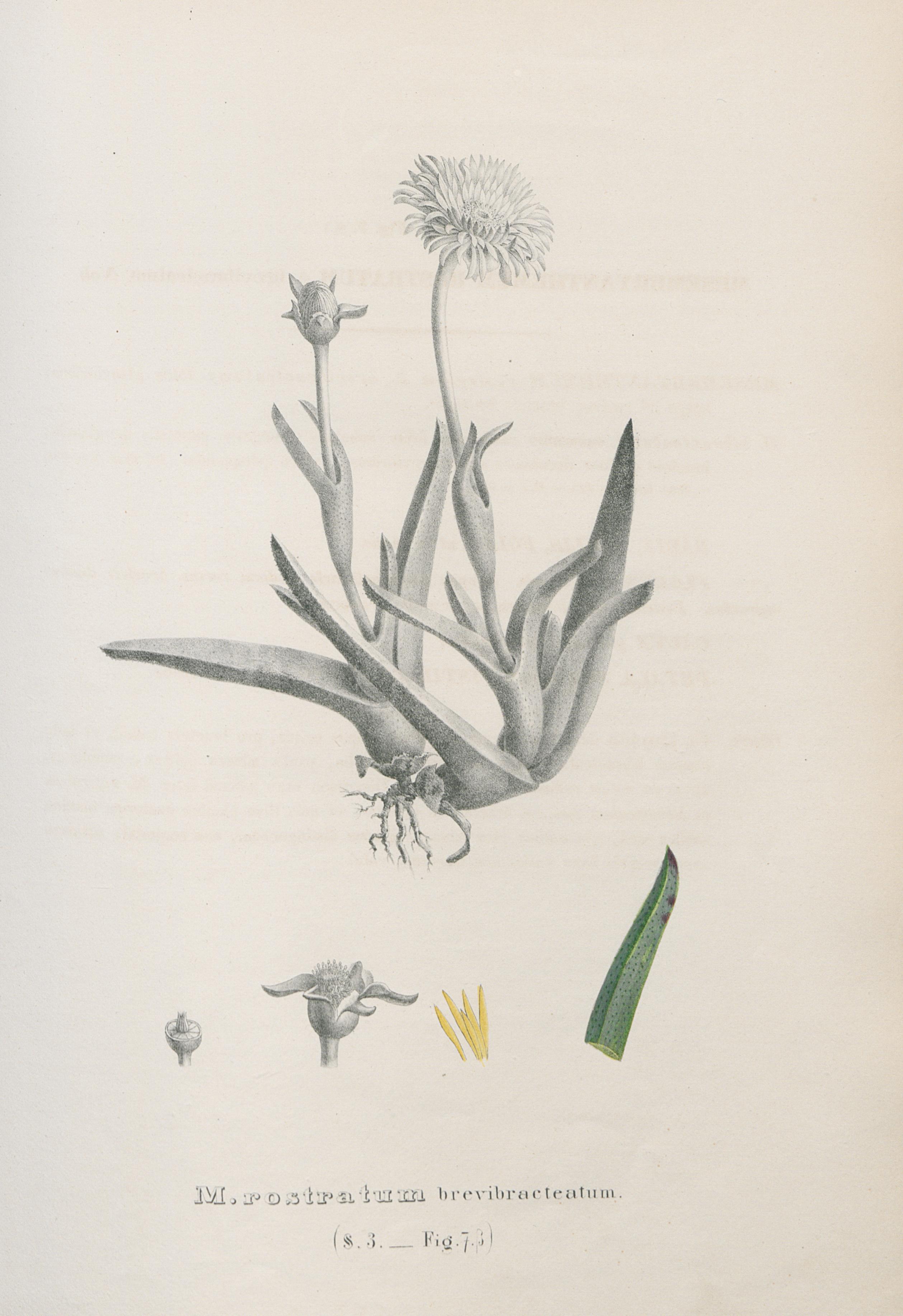 no full size  illustration available (3a)