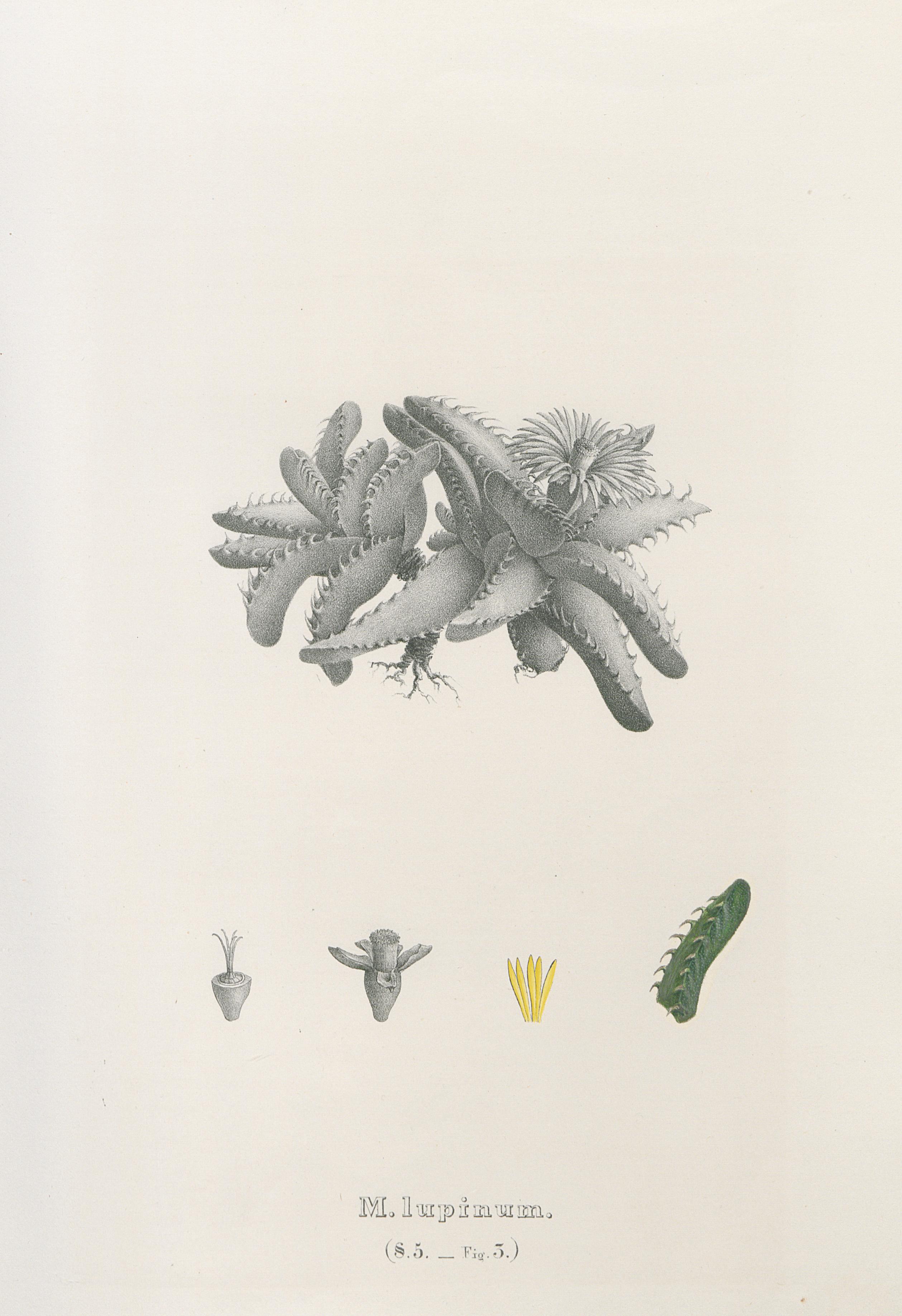 no full size  illustration available (3a)