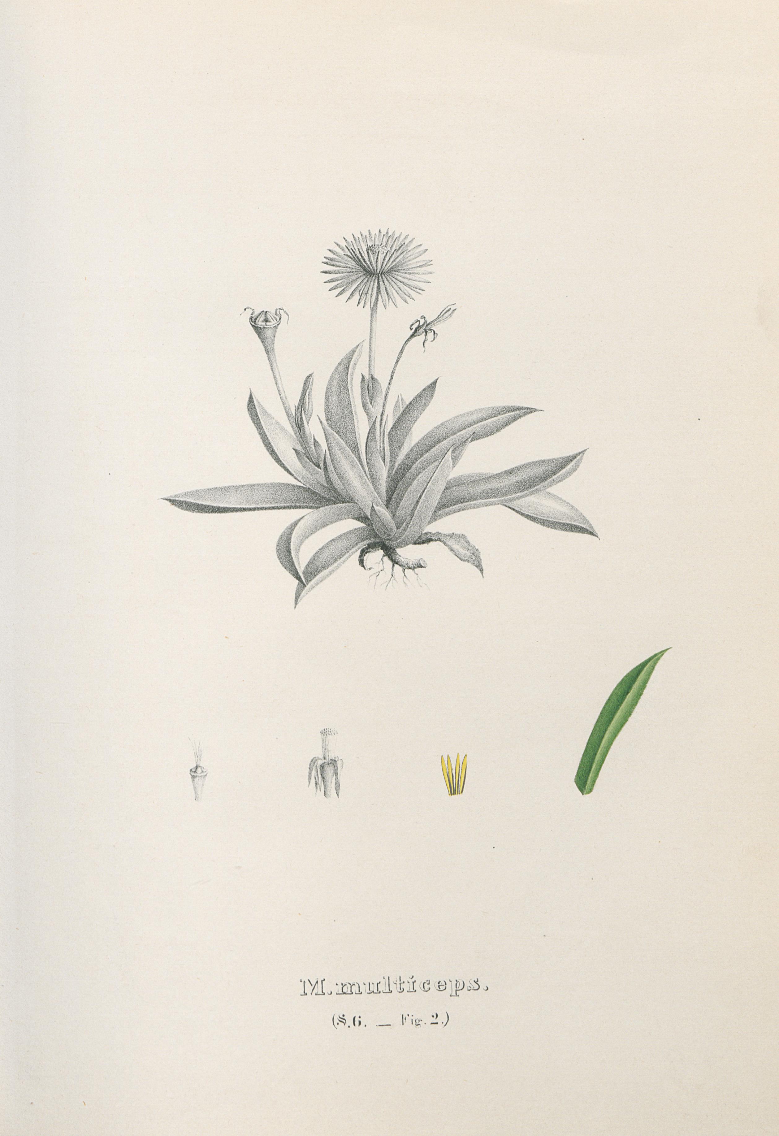 no full size  illustration available (3a)