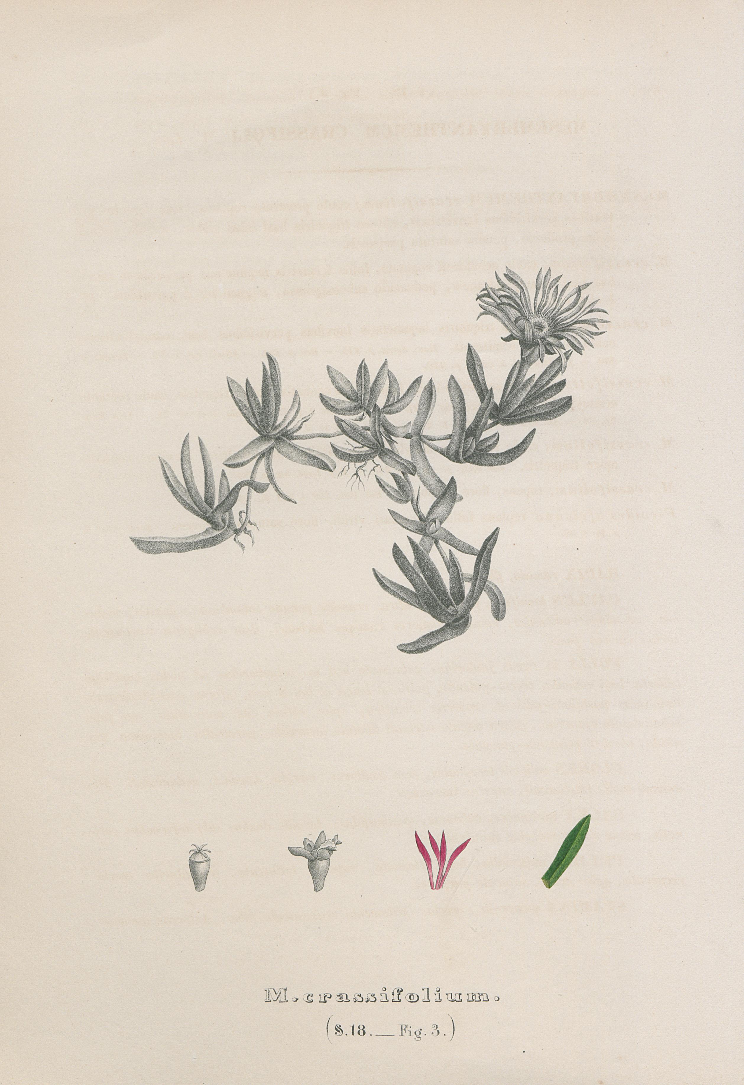 no full size  illustration available (3a)