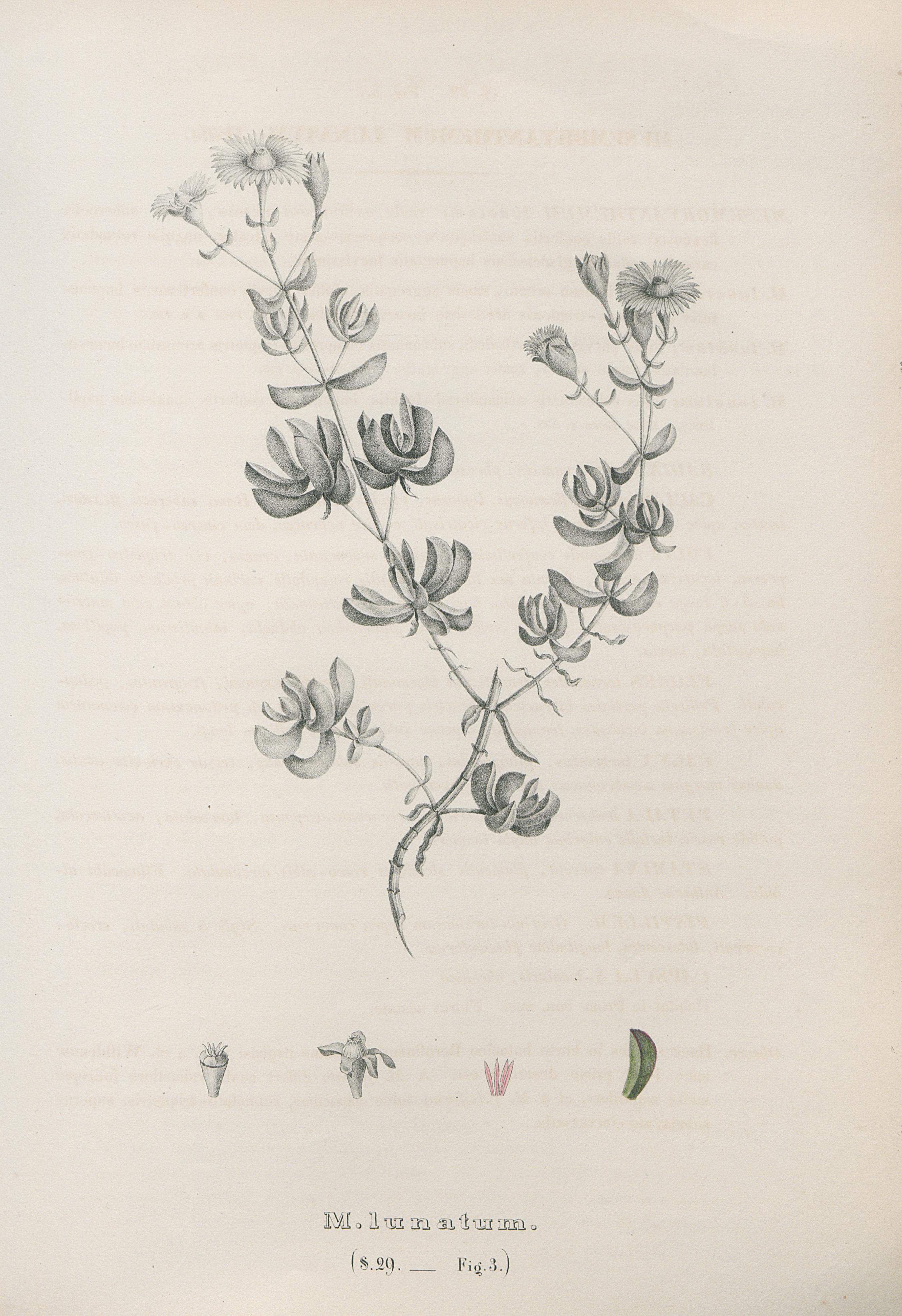 no full size  illustration available (3a)