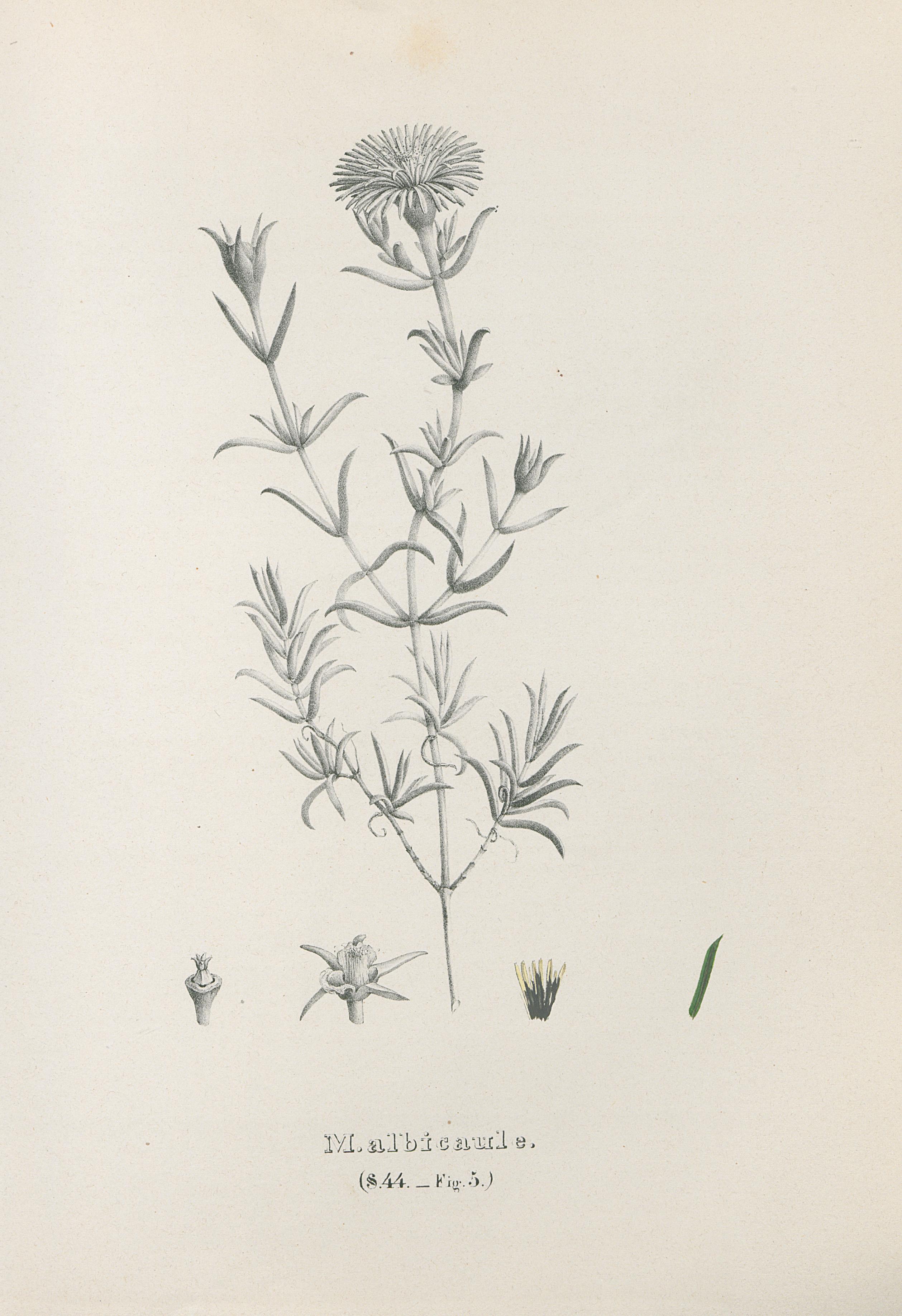 no full size  illustration available (3a)