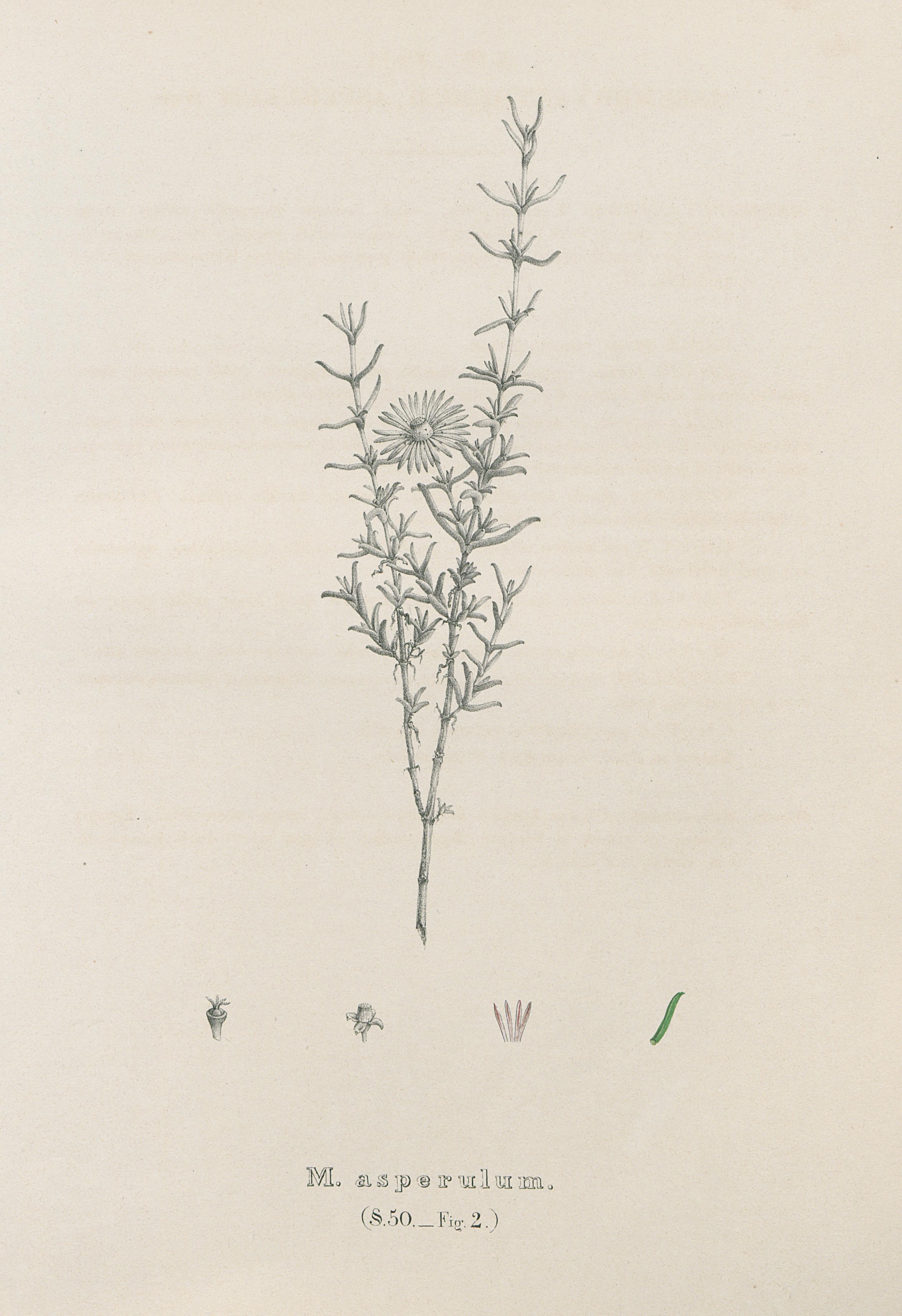 no full size  illustration available (3a)