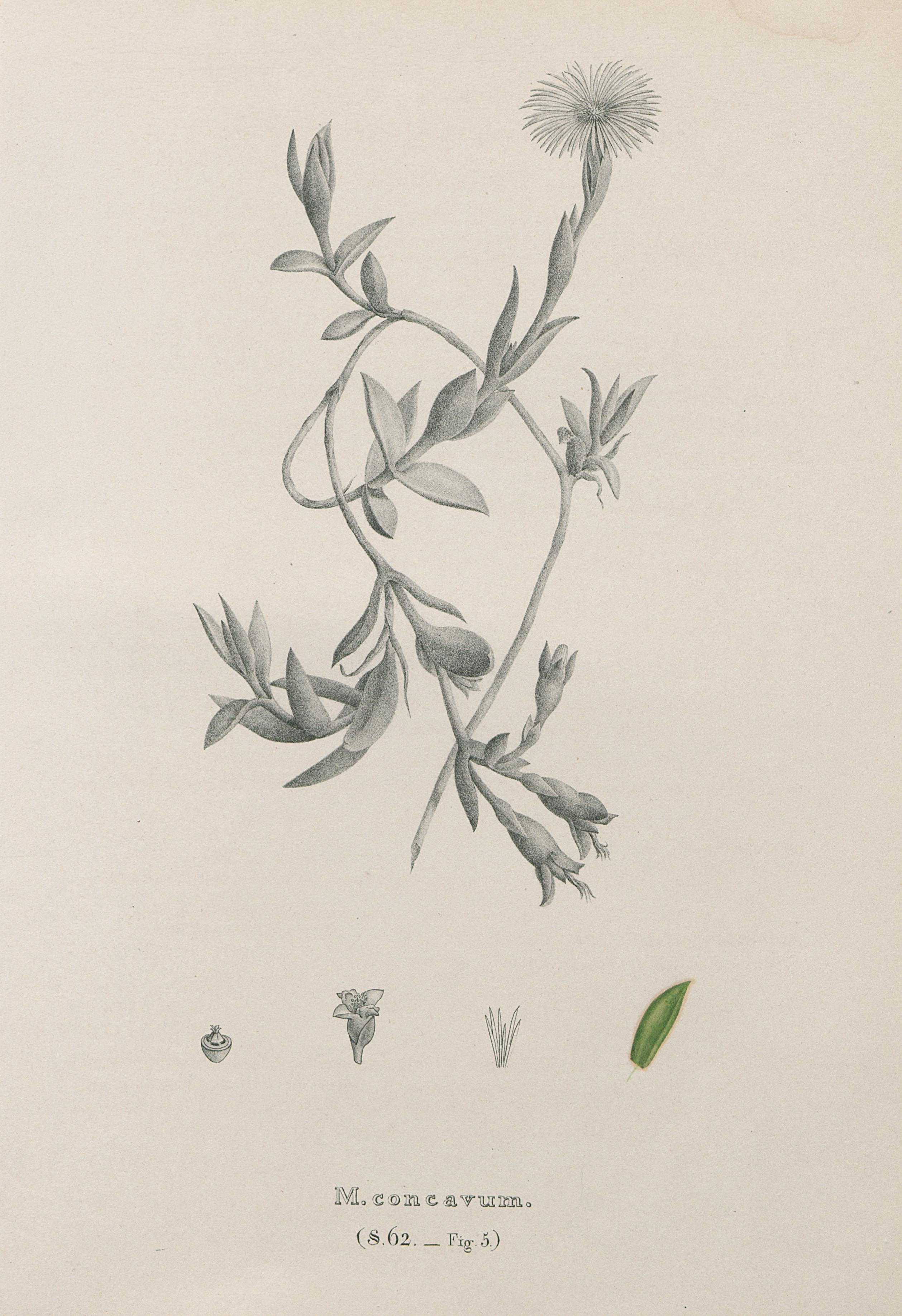 no full size  illustration available (3a)