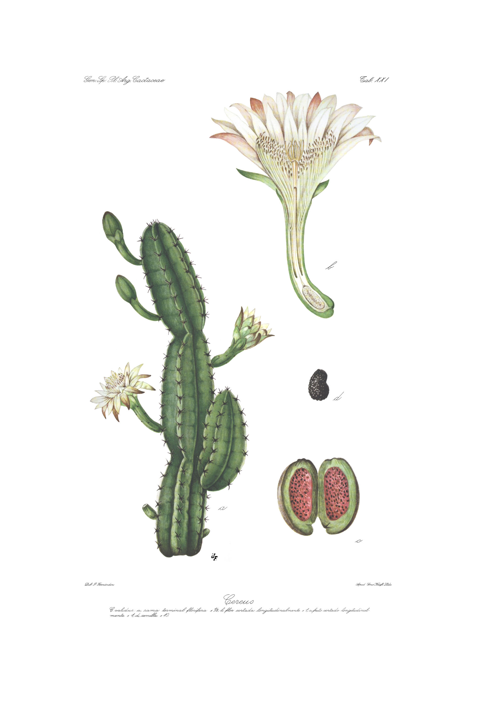 no full size  illustration available (3a)