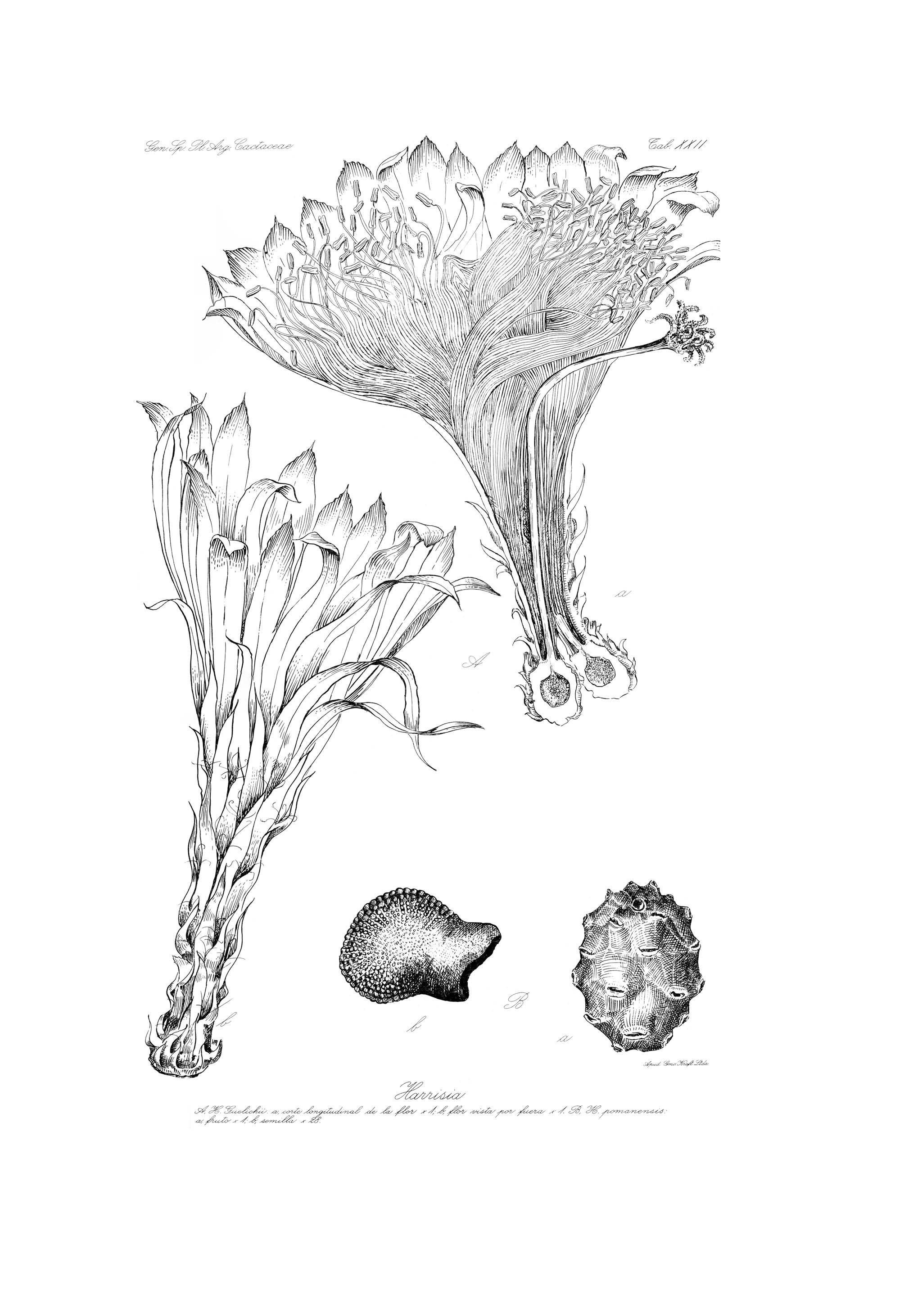 no full size  illustration available (3a)