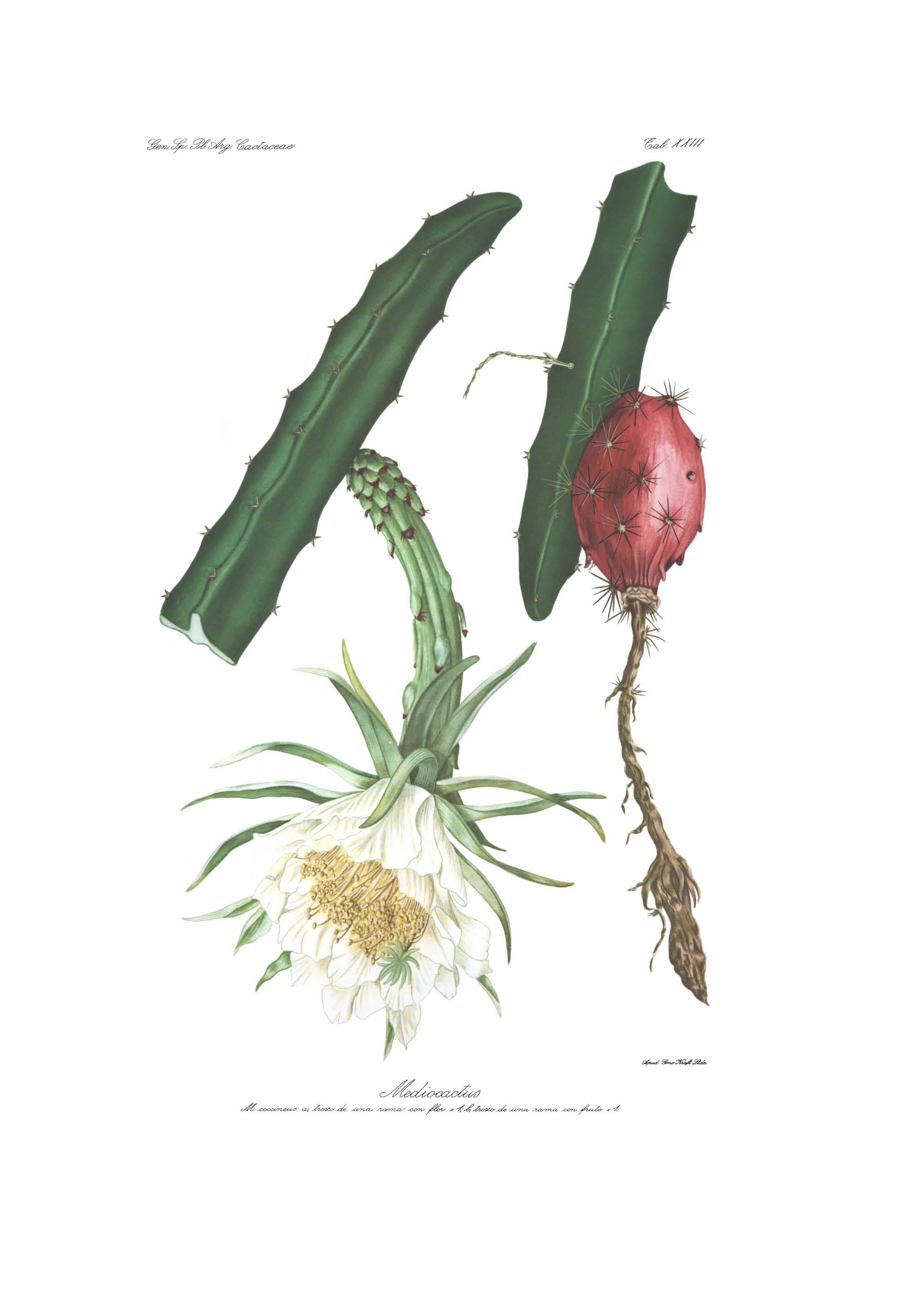 no full size  illustration available (3a)