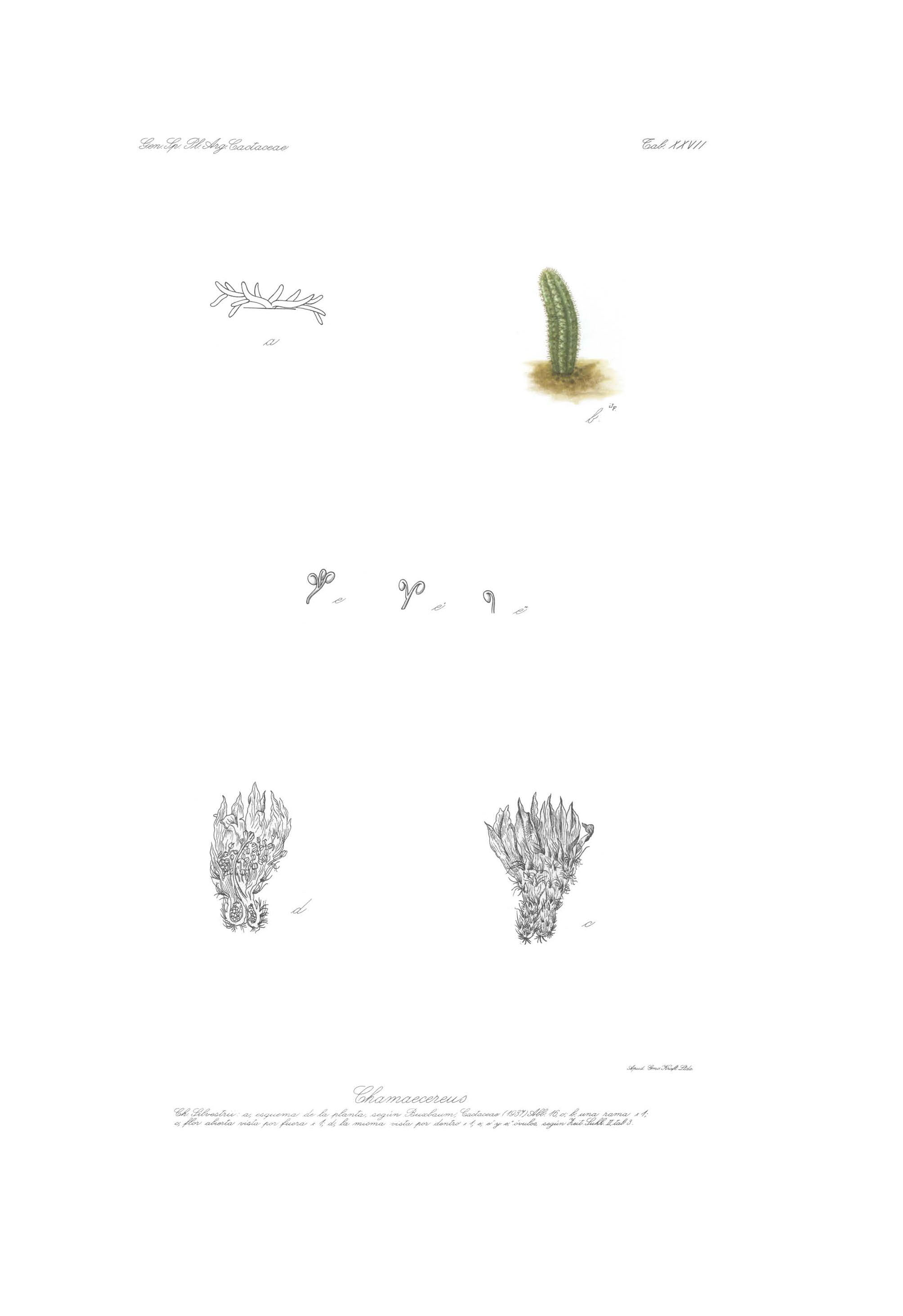 no full size  illustration available (3a)