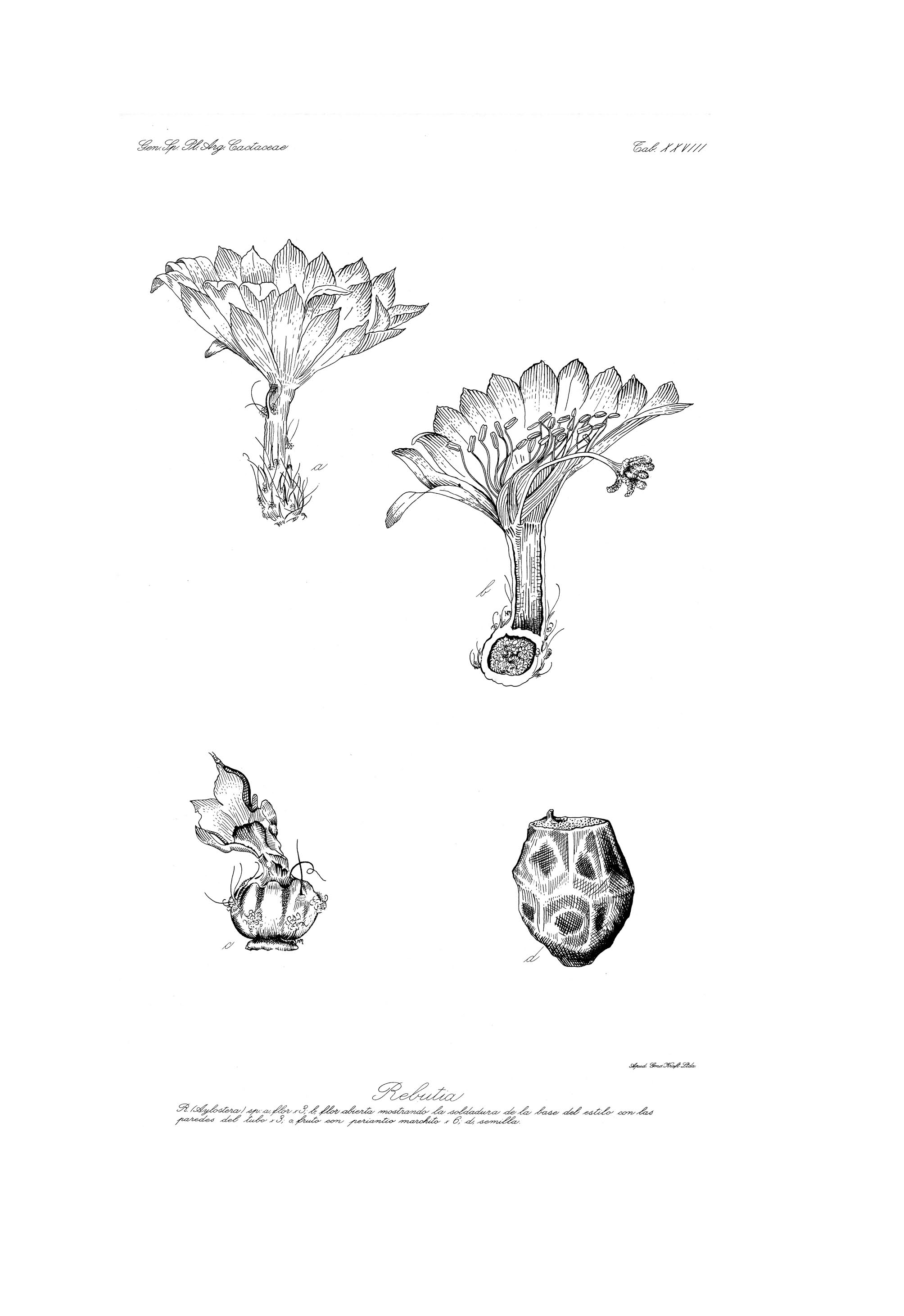 no full size  illustration available (3a)