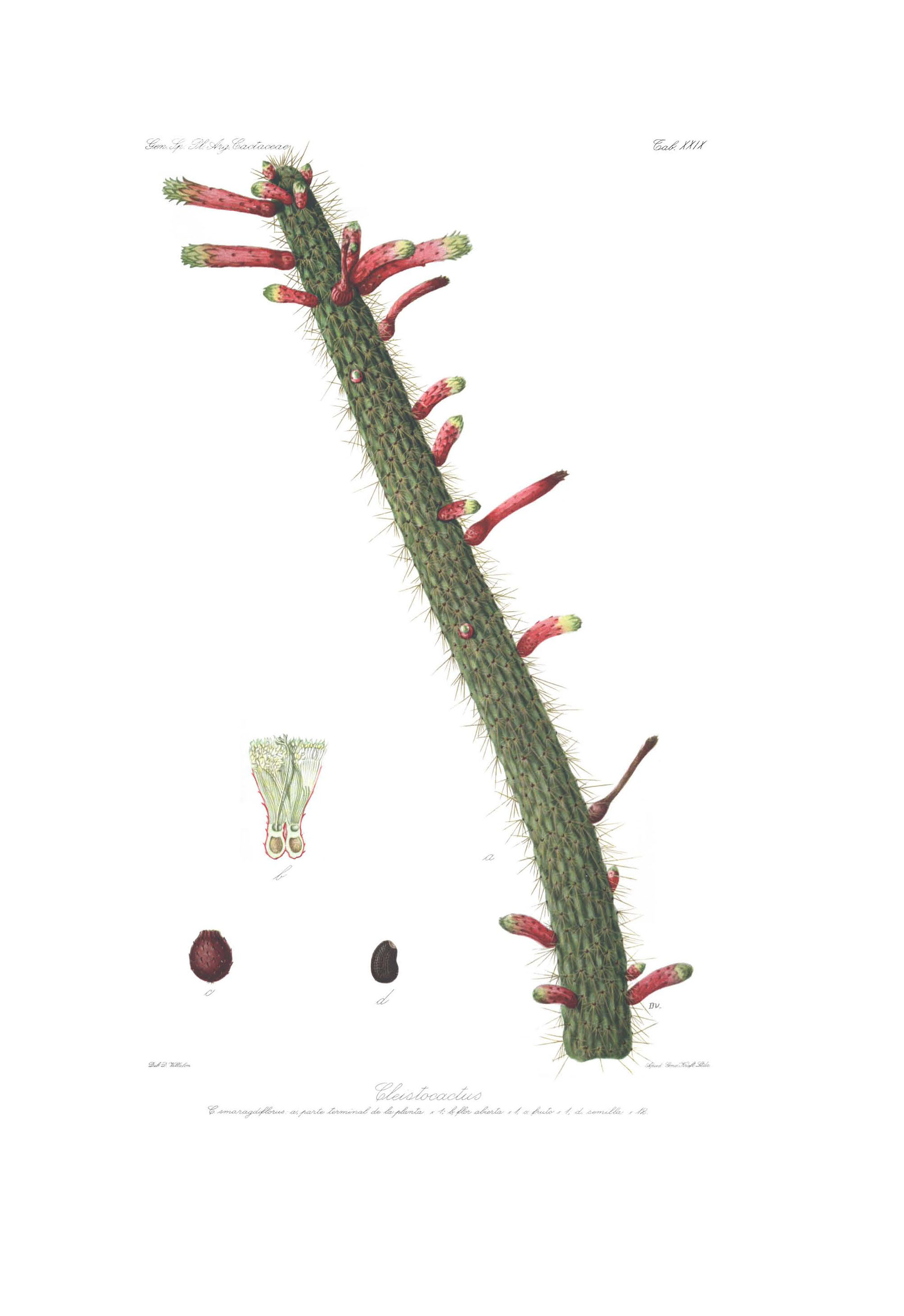 no full size  illustration available (3a)