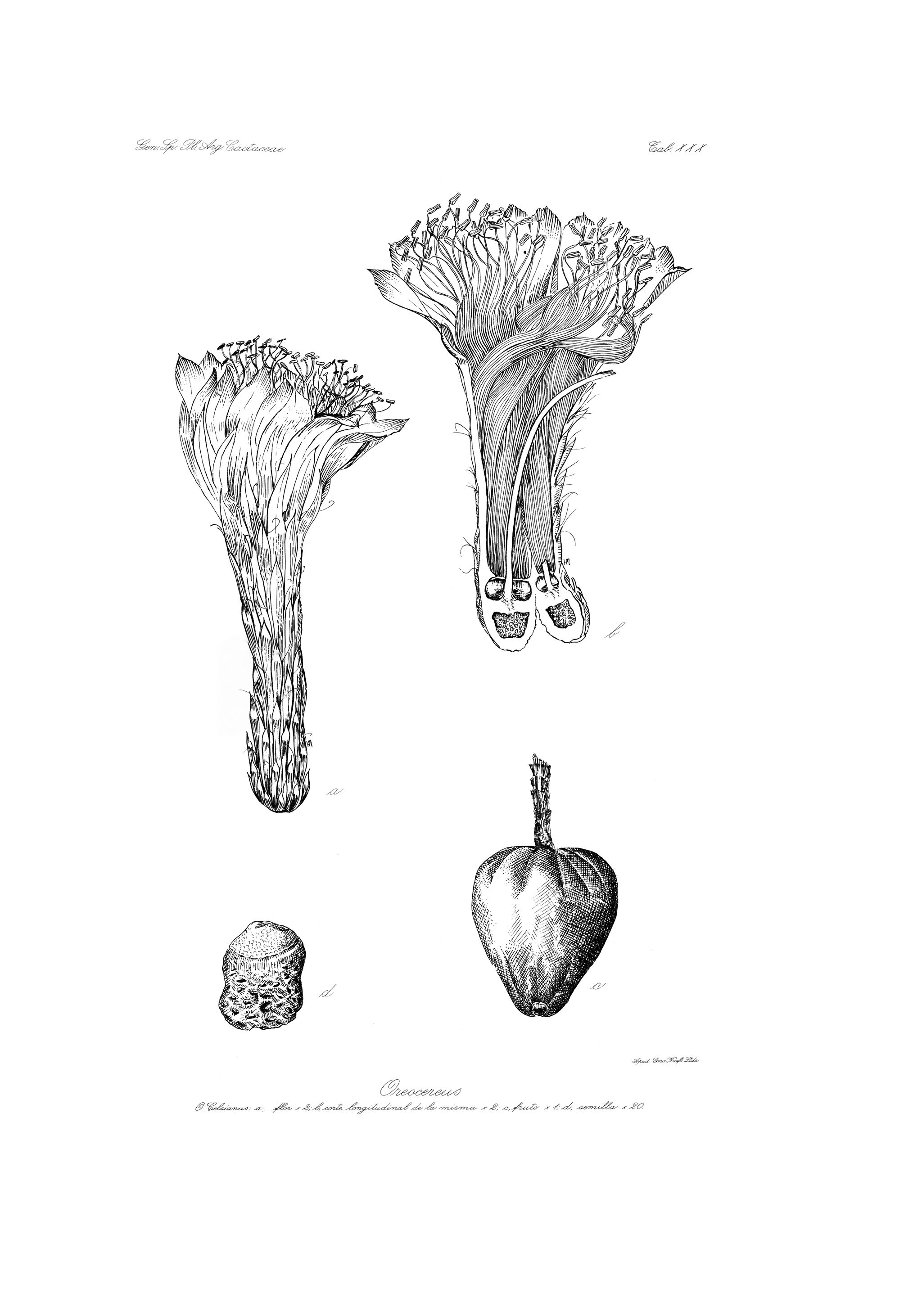 no full size  illustration available (3a)