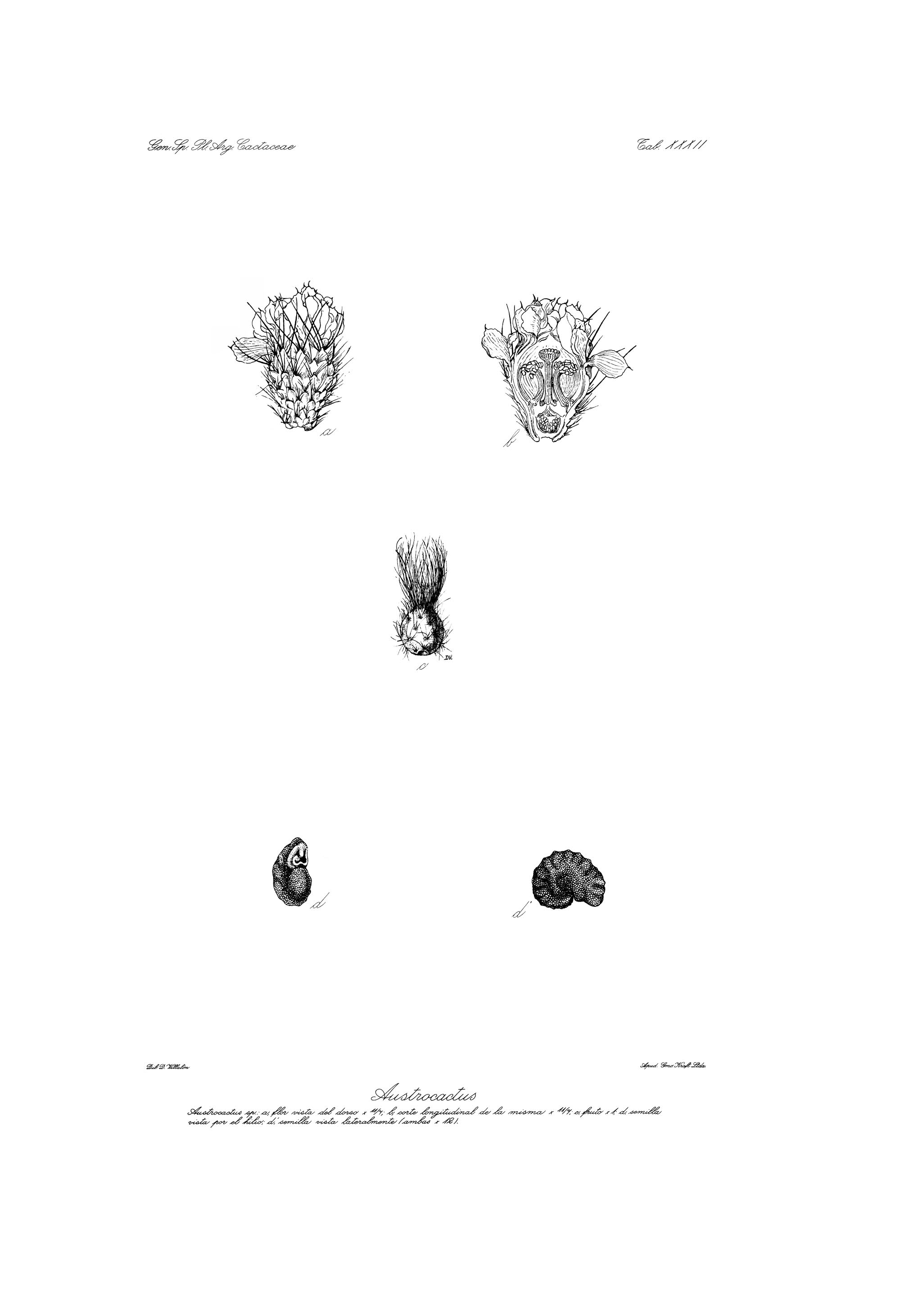 no full size  illustration available (3a)