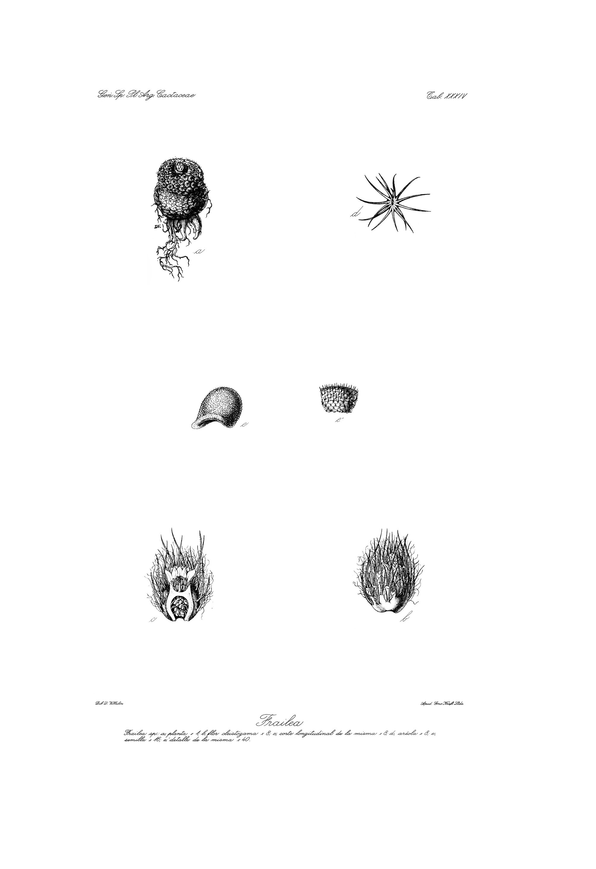 no full size  illustration available (3a)