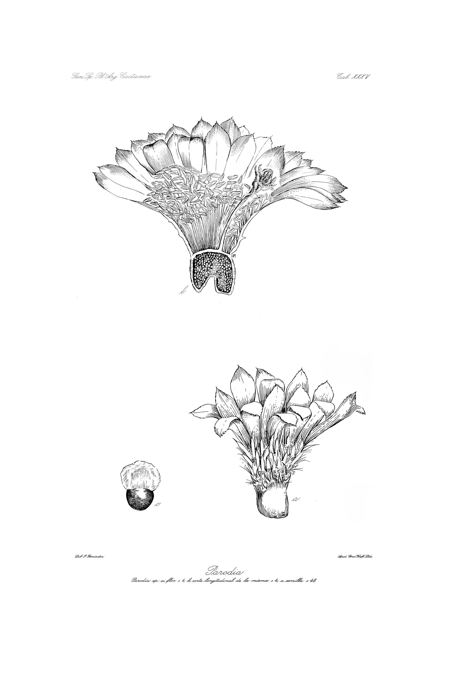 no full size  illustration available (3a)