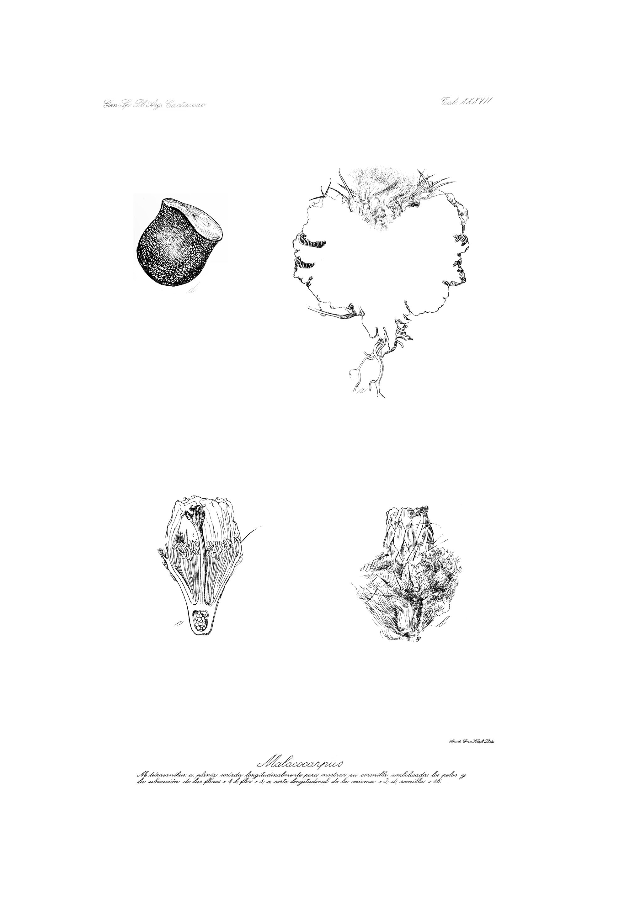 no full size  illustration available (3a)