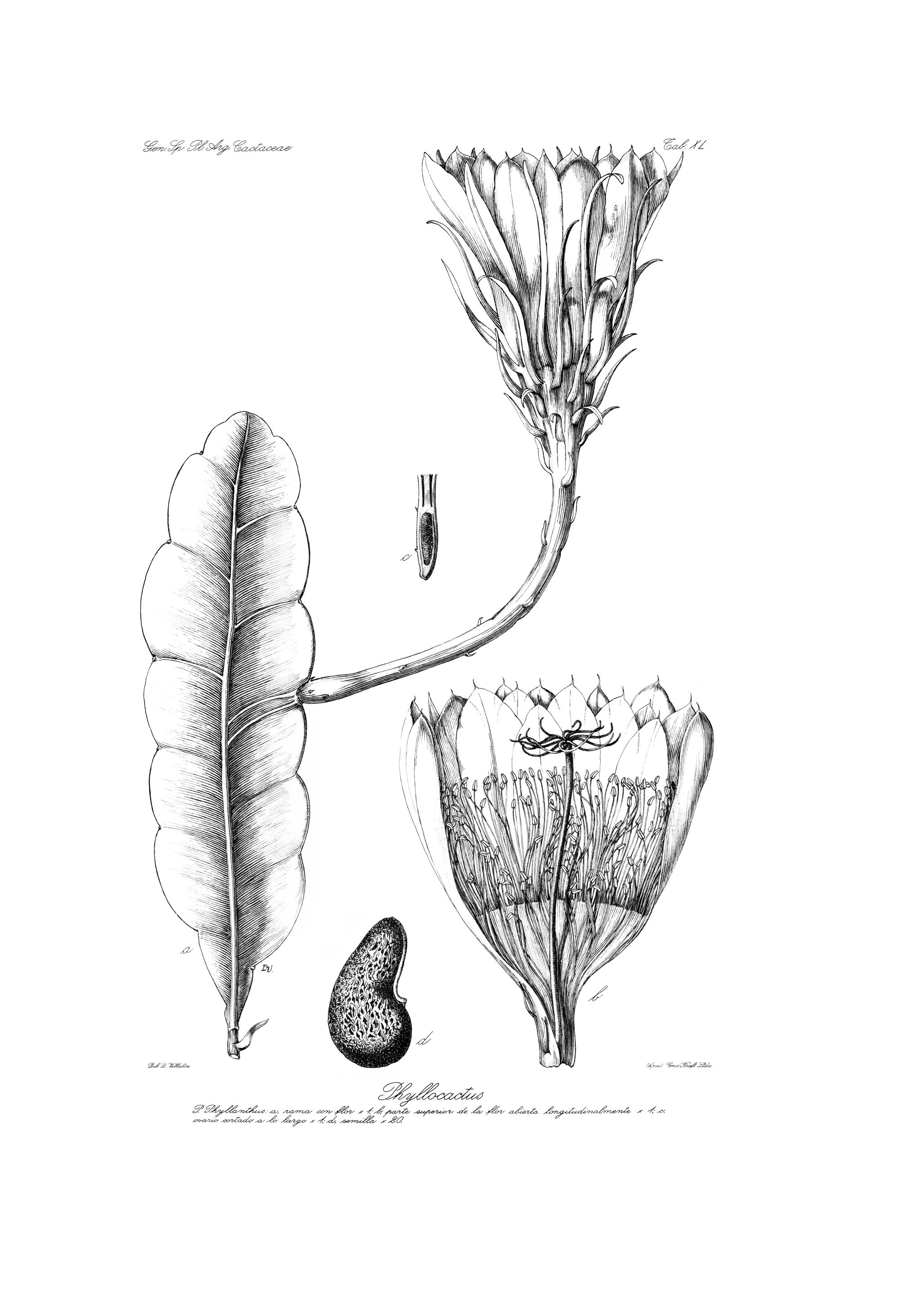 no full size  illustration available (3a)