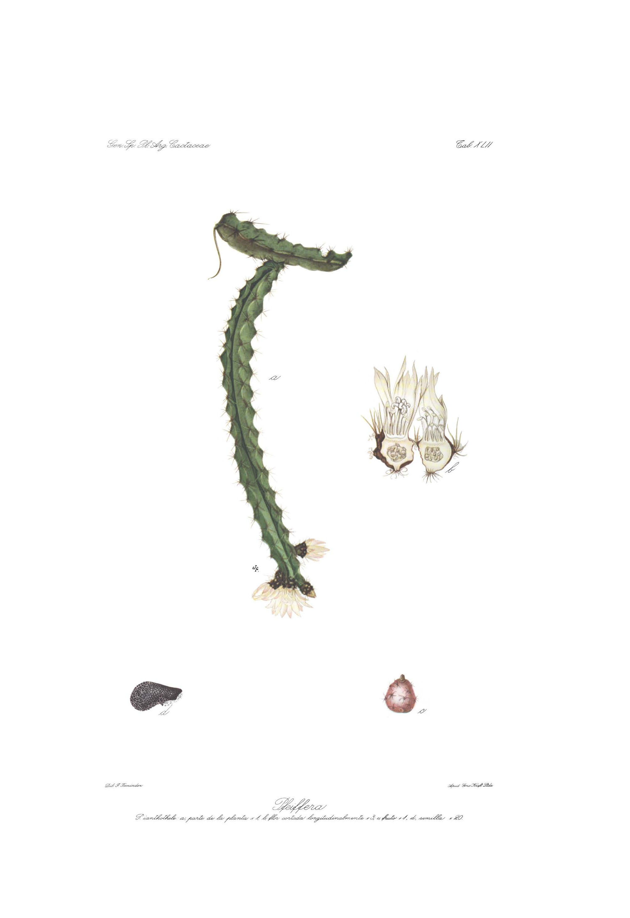 no full size  illustration available (3a)