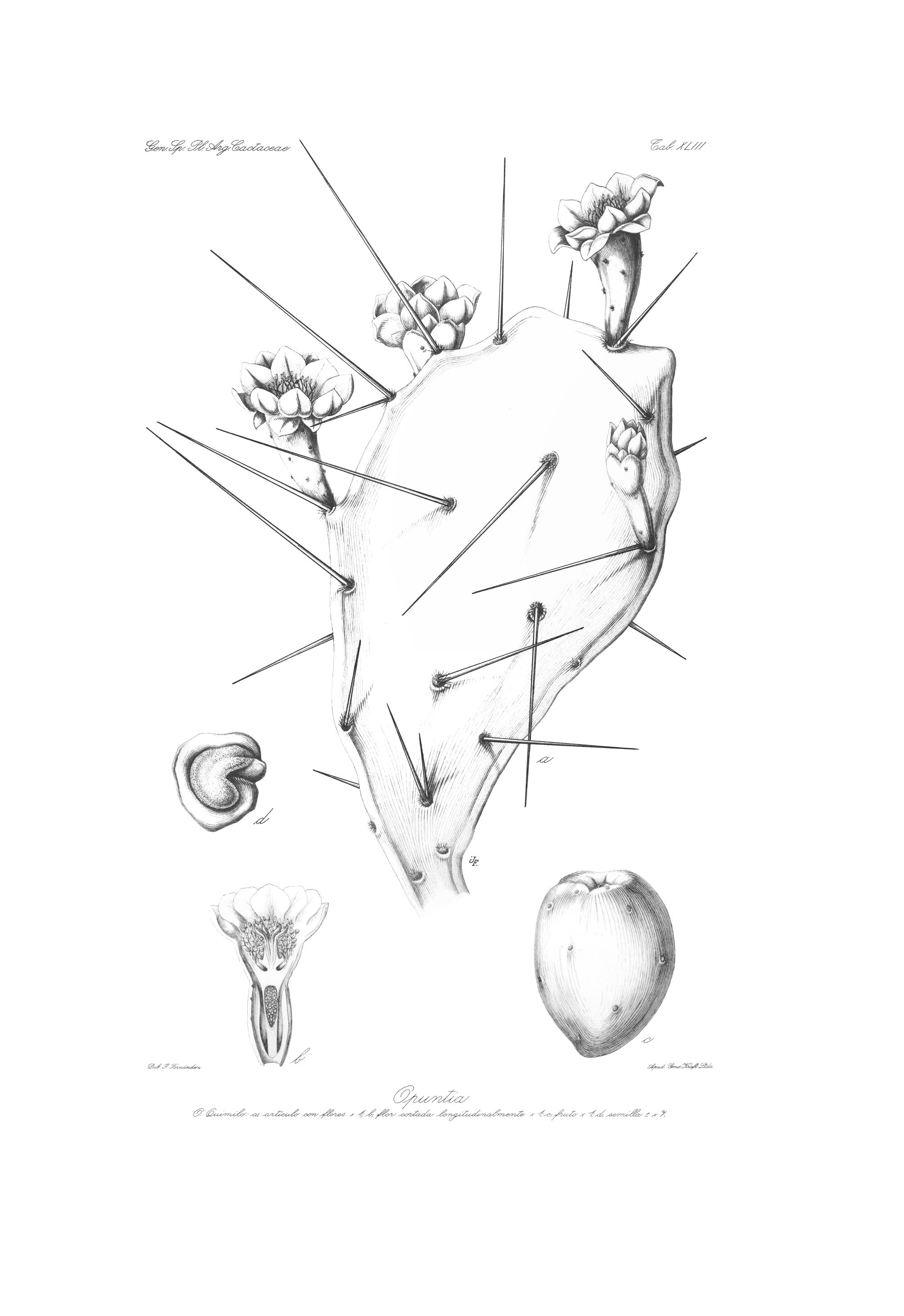 no full size  illustration available (3a)