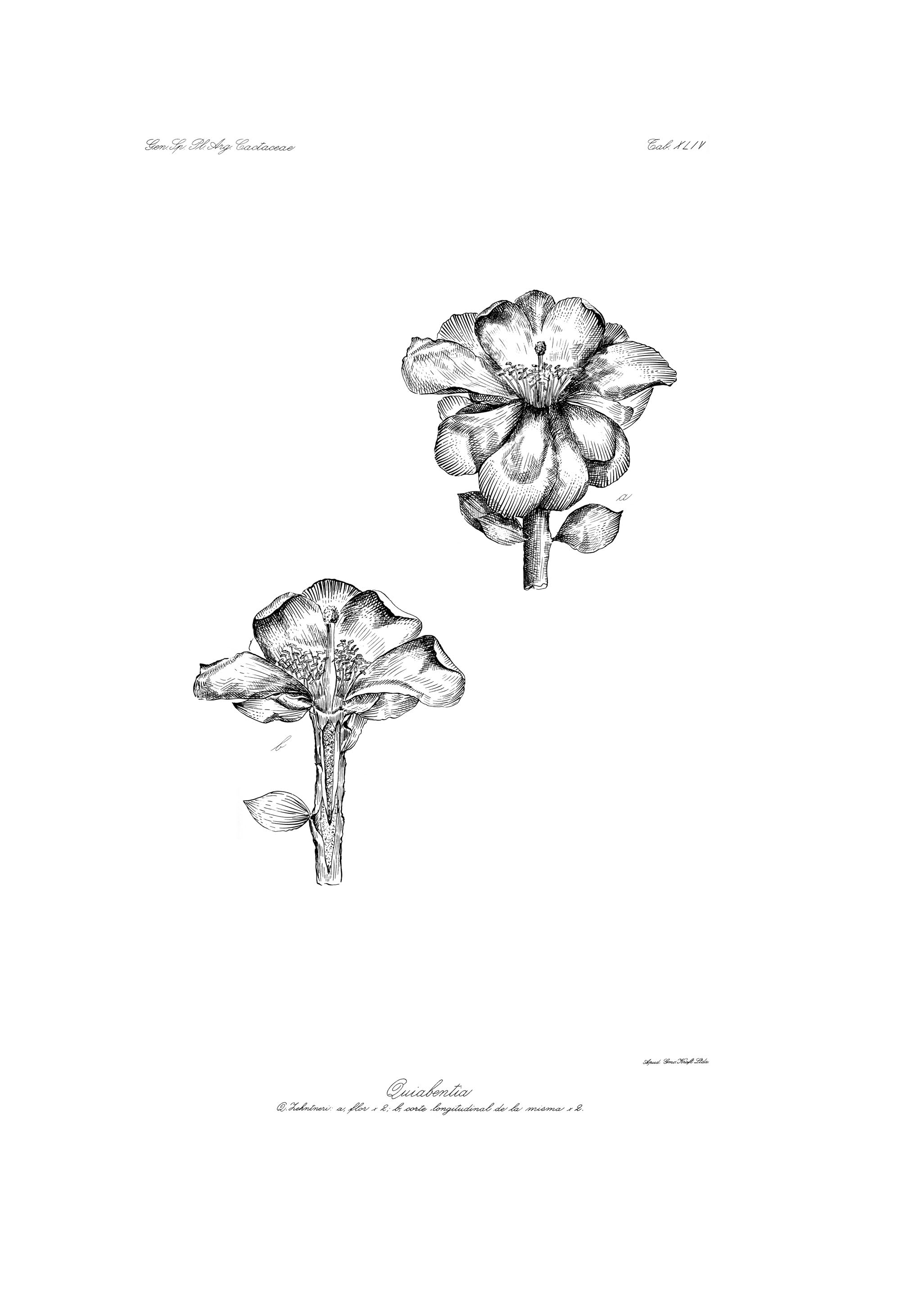 no full size  illustration available (3a)