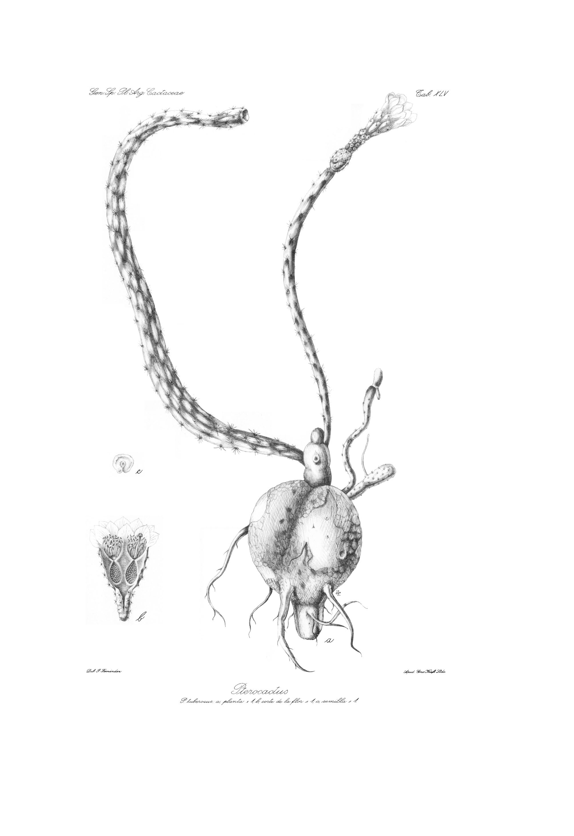 no full size  illustration available (3a)