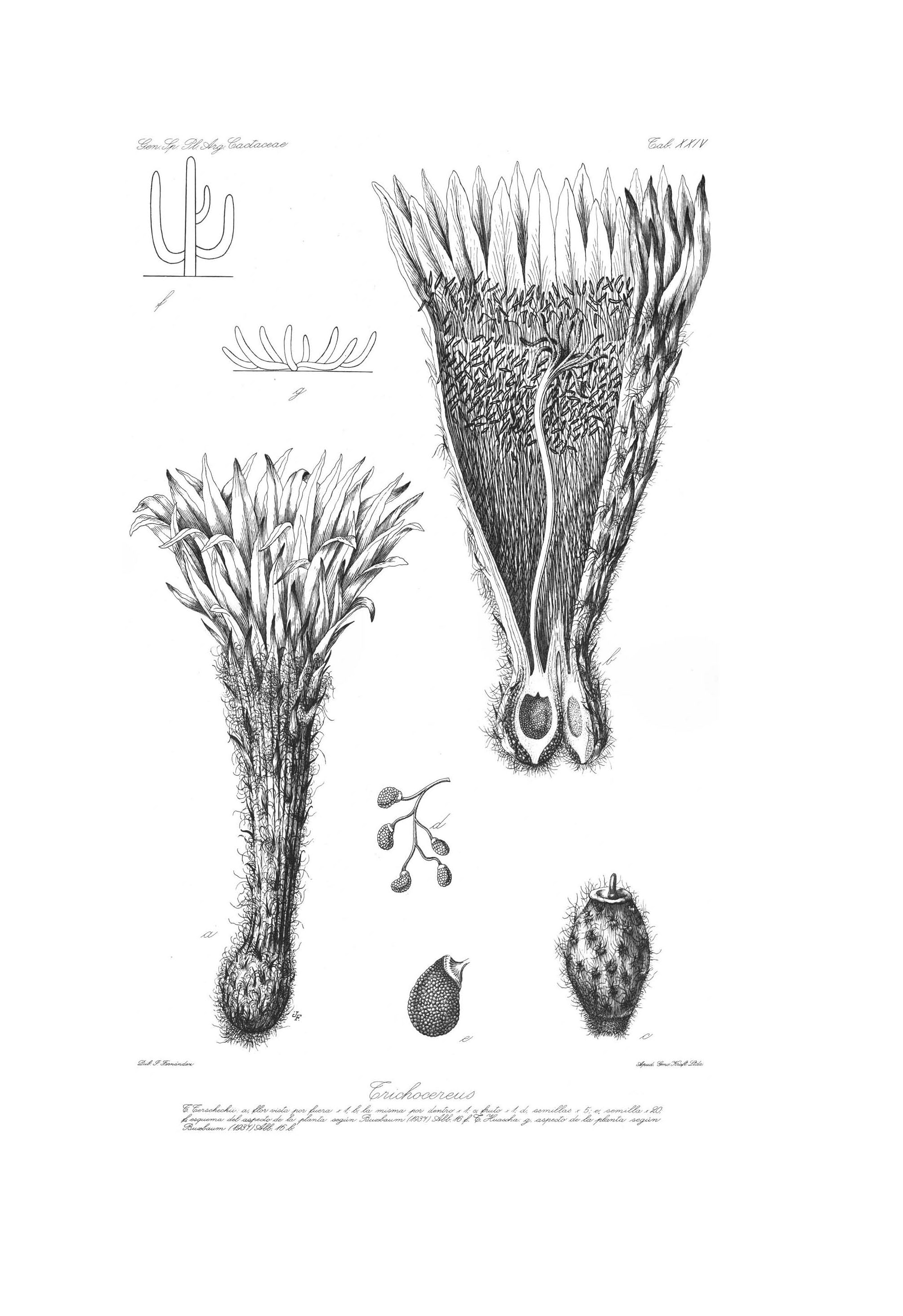 no full size  illustration available (3a)