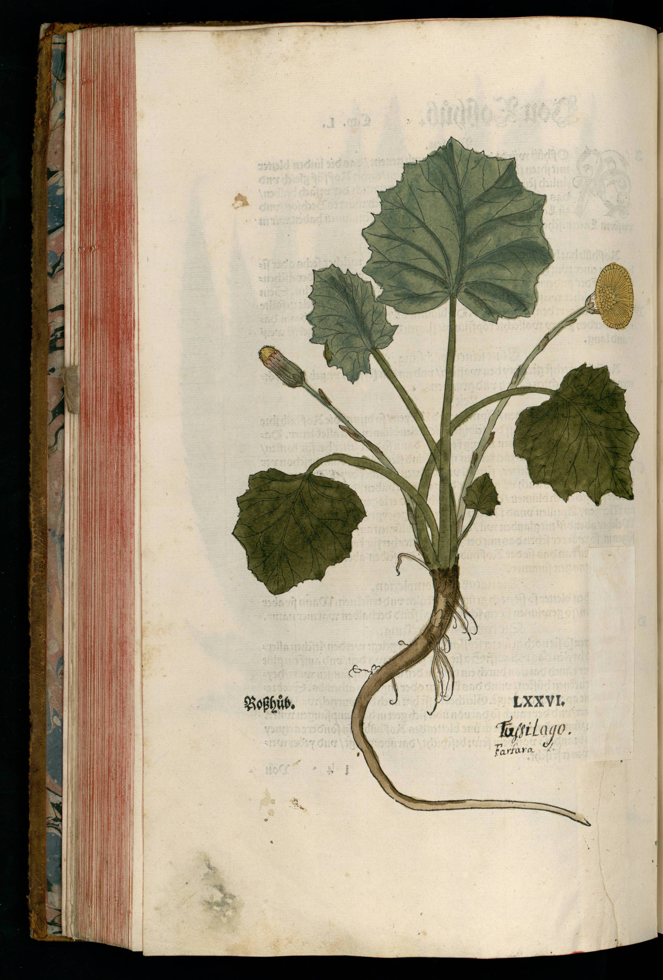 no full size  illustration available (3a)