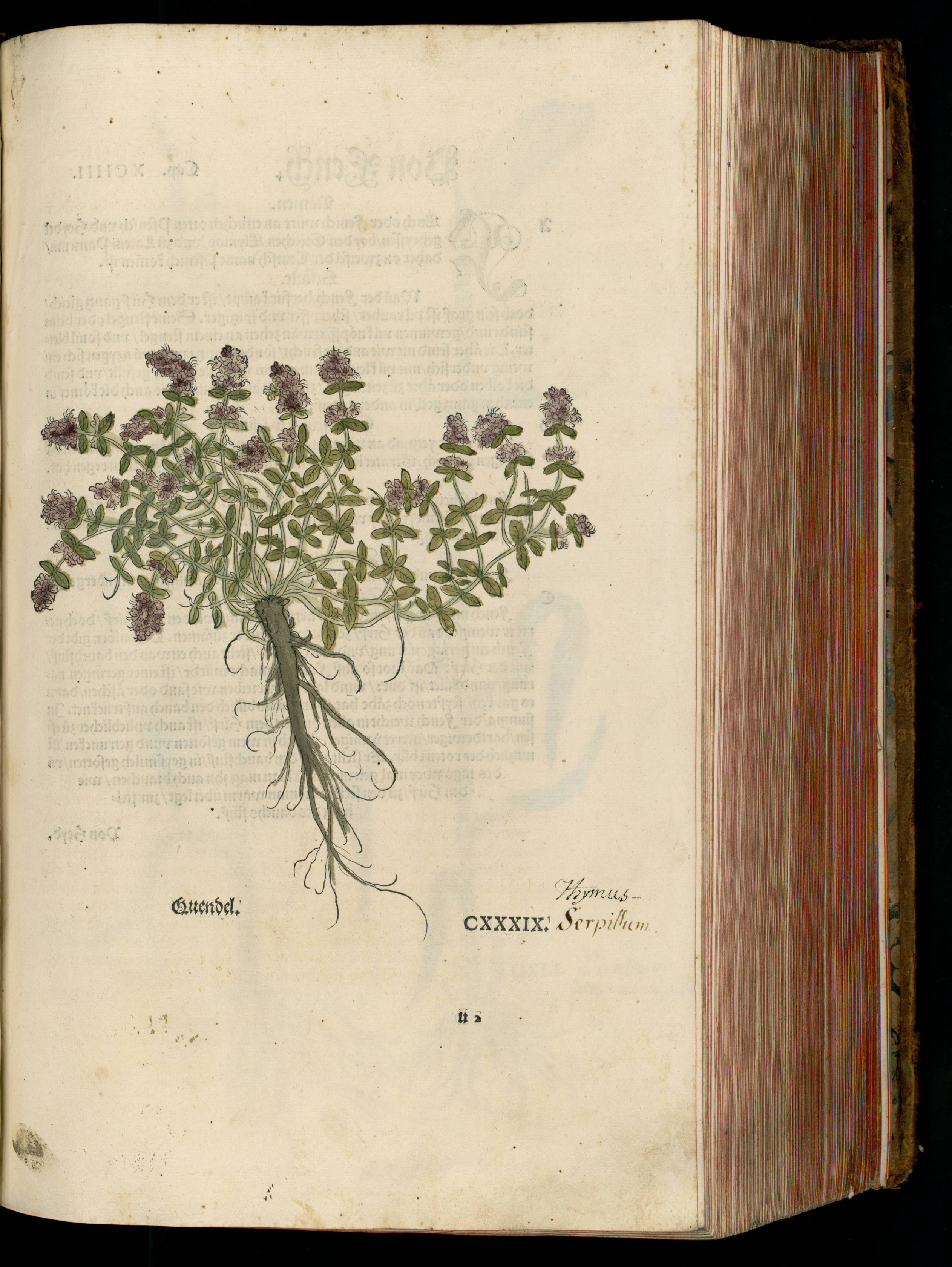 no full size  illustration available (3a)