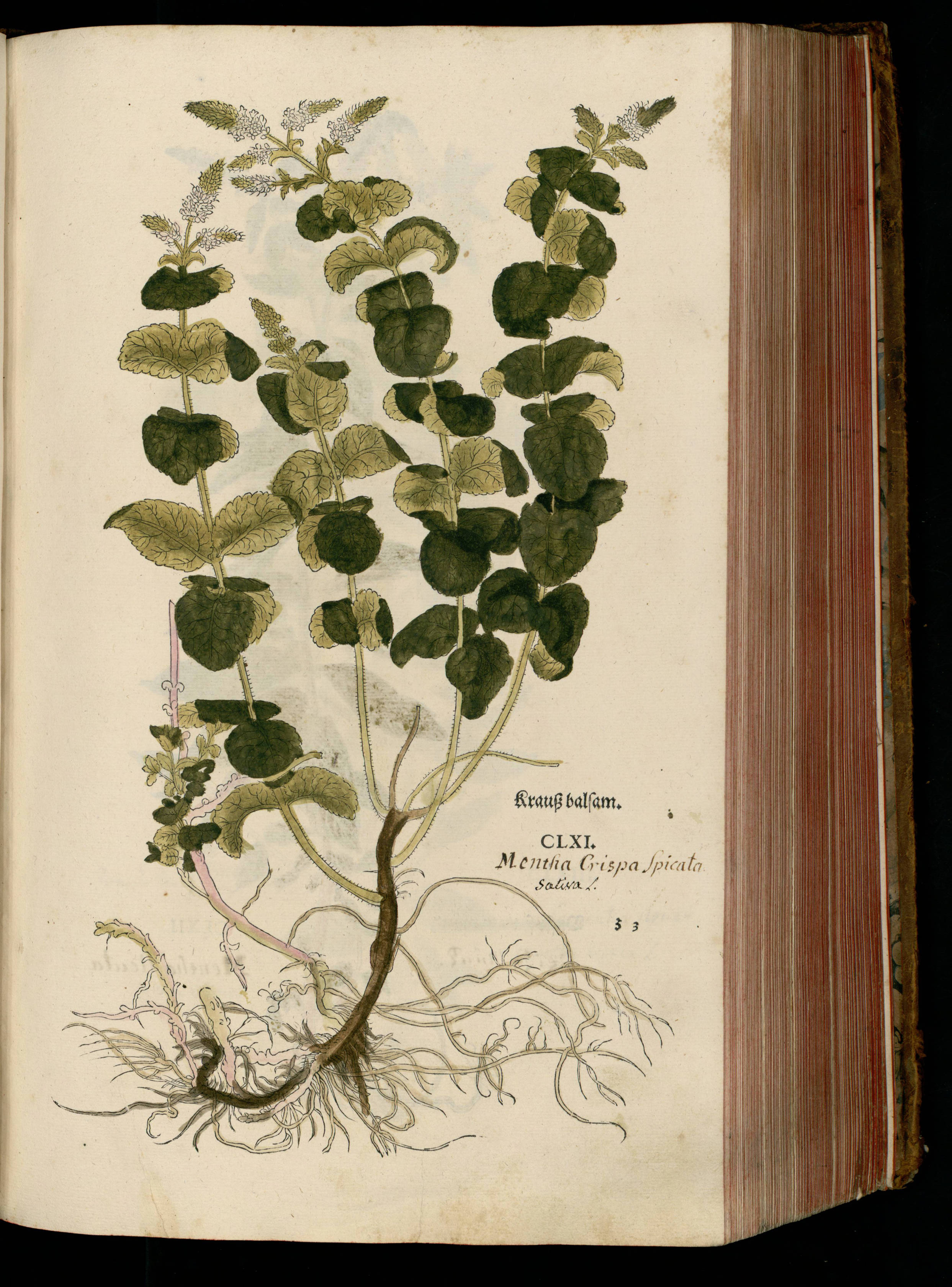 no full size  illustration available (3a)