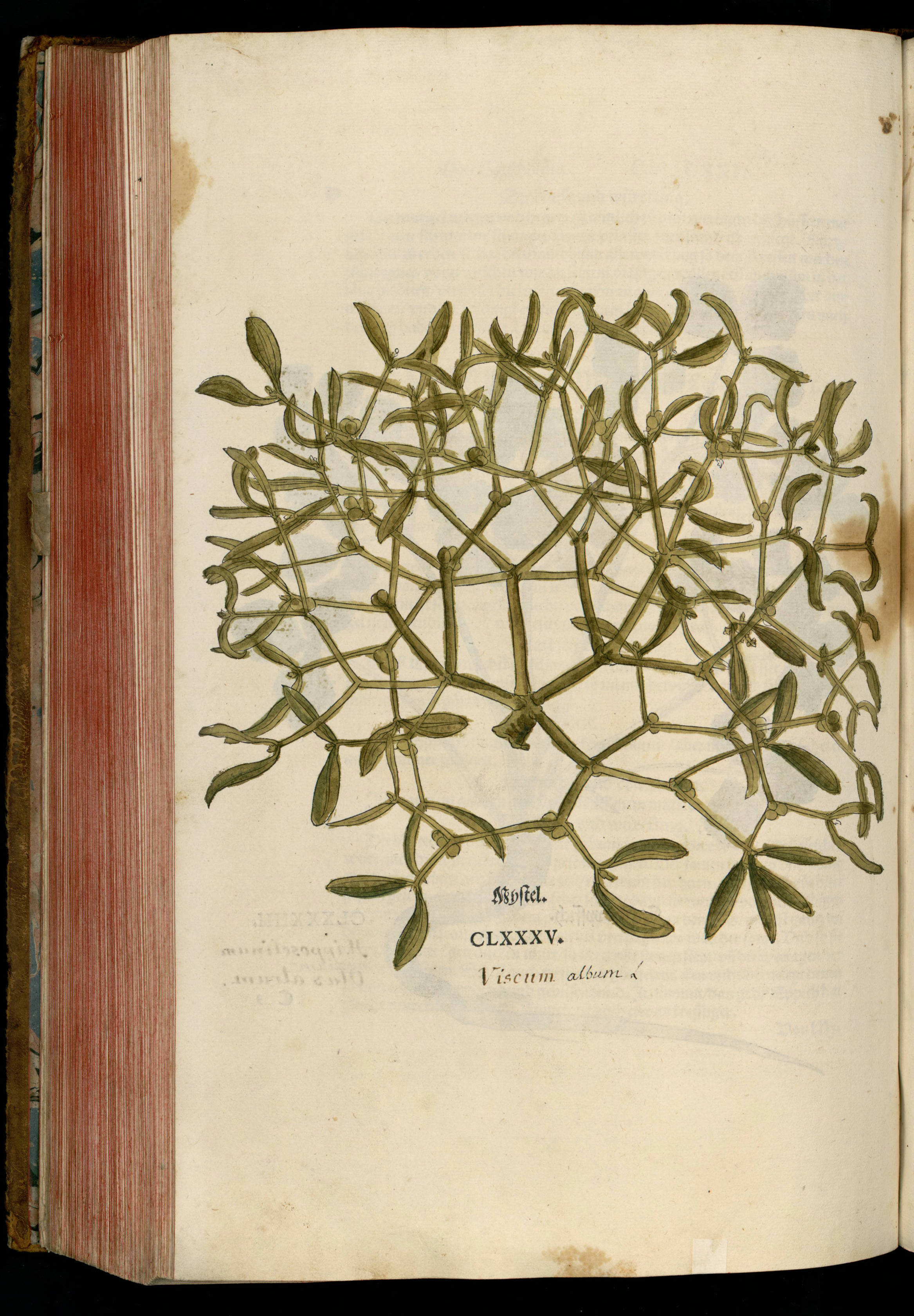 no full size  illustration available (3a)