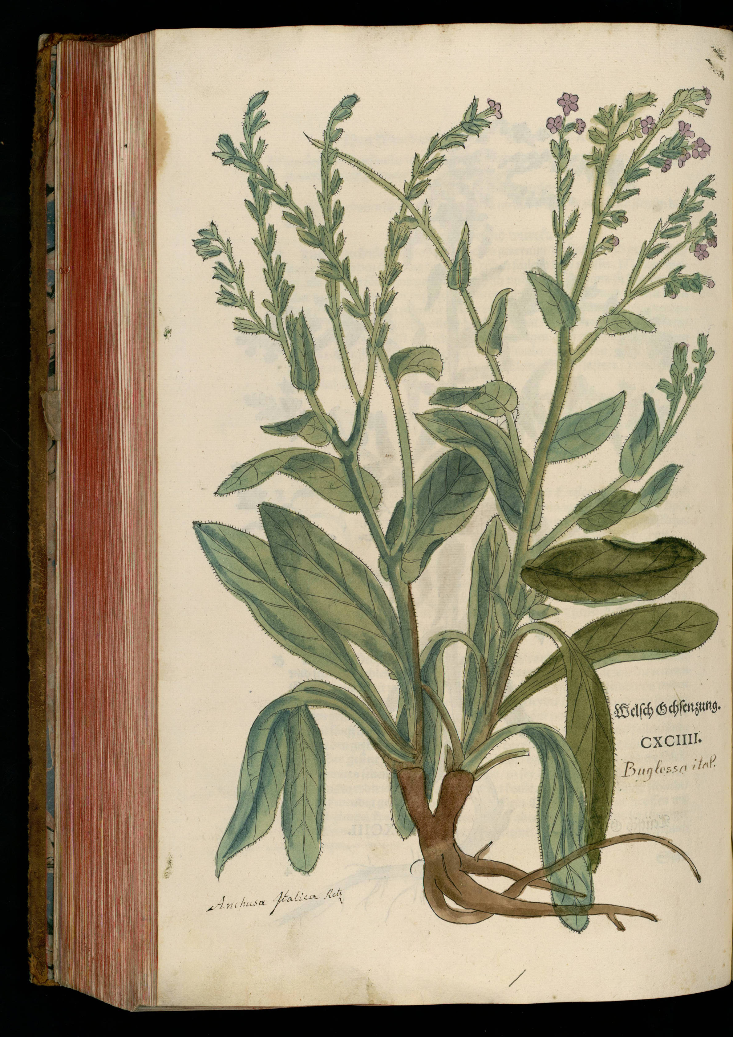 no full size  illustration available (3a)