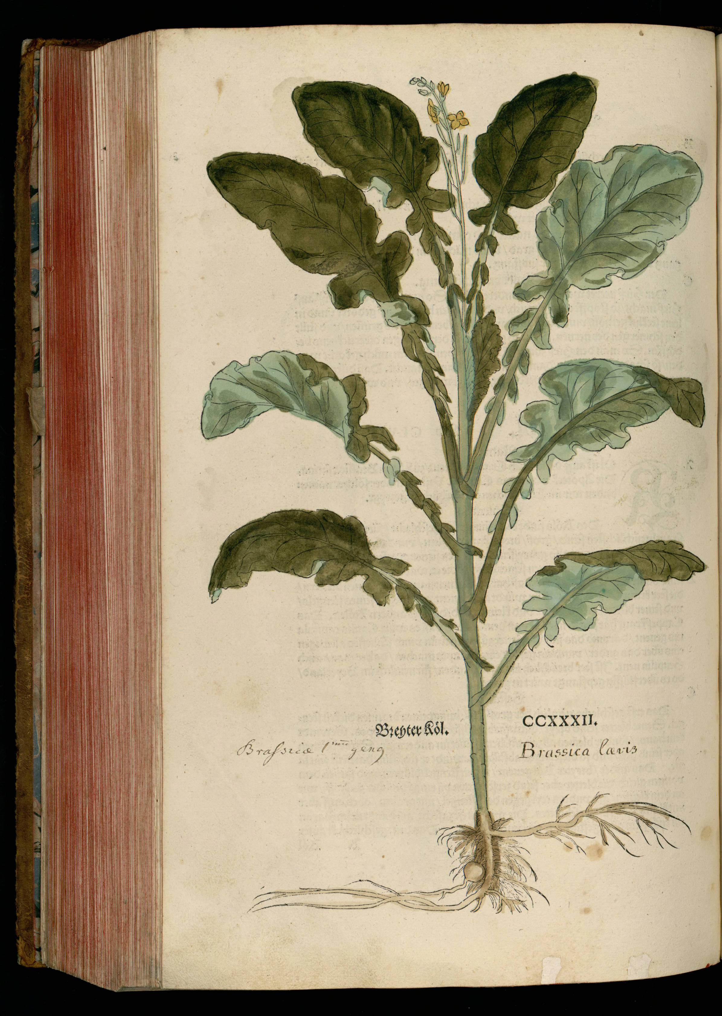 no full size  illustration available (3a)