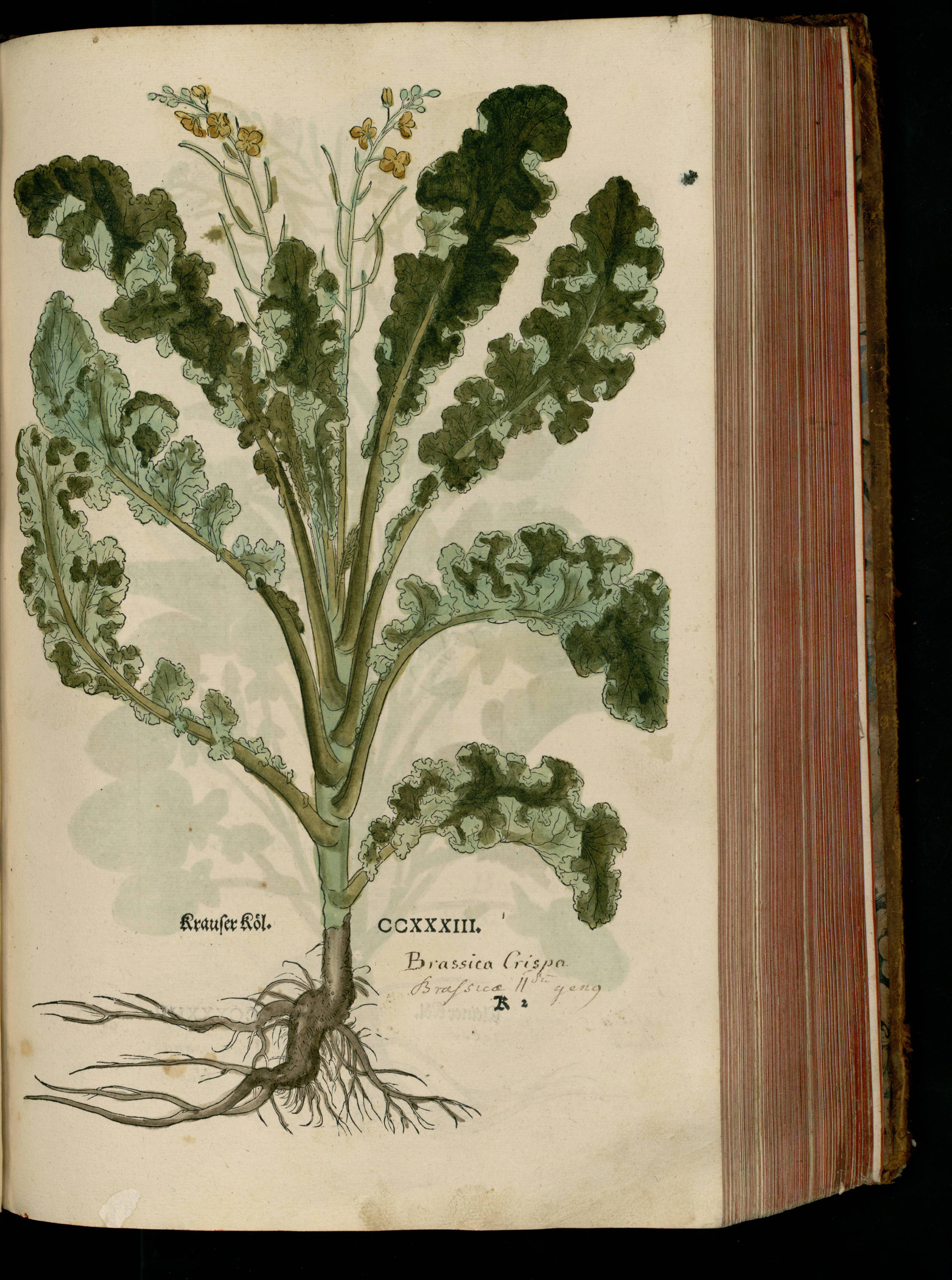 no full size  illustration available (3a)