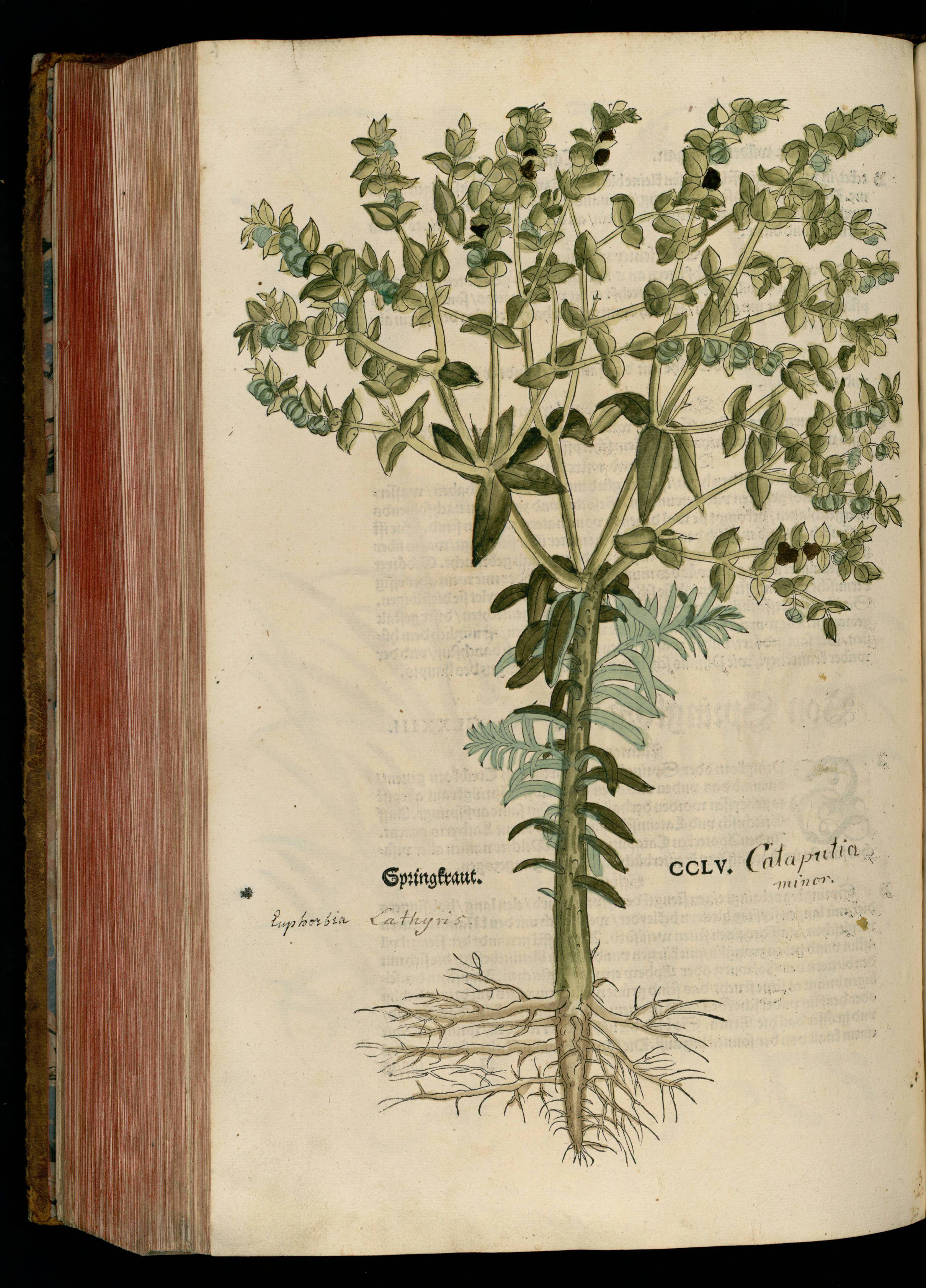 no full size  illustration available (3a)