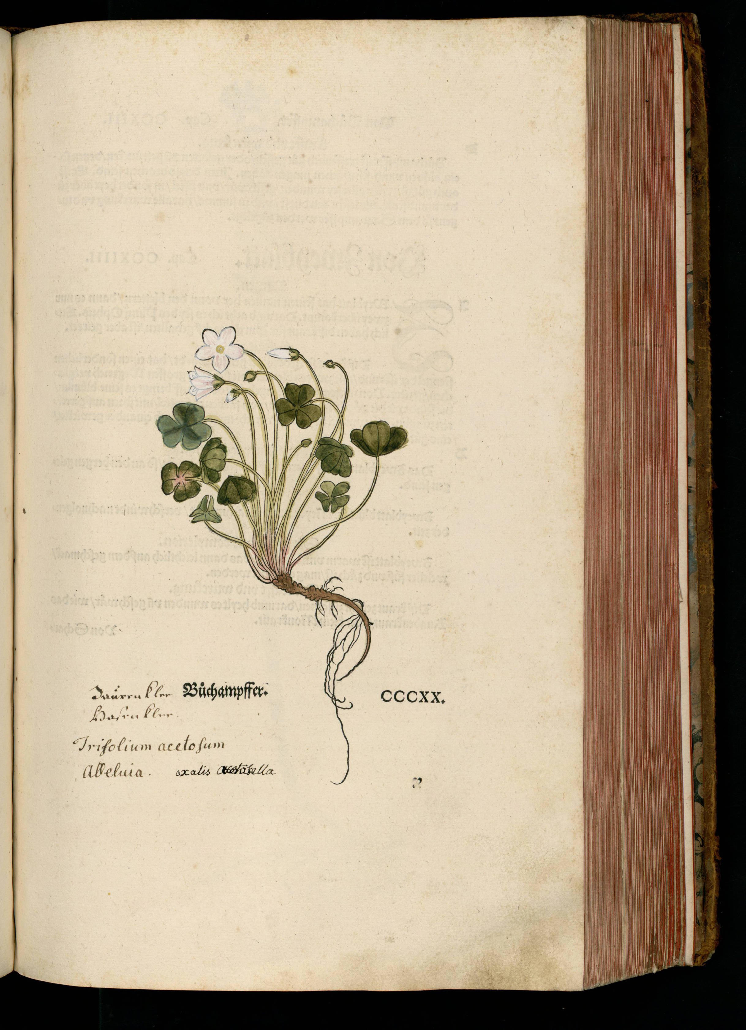 no full size  illustration available (3a)