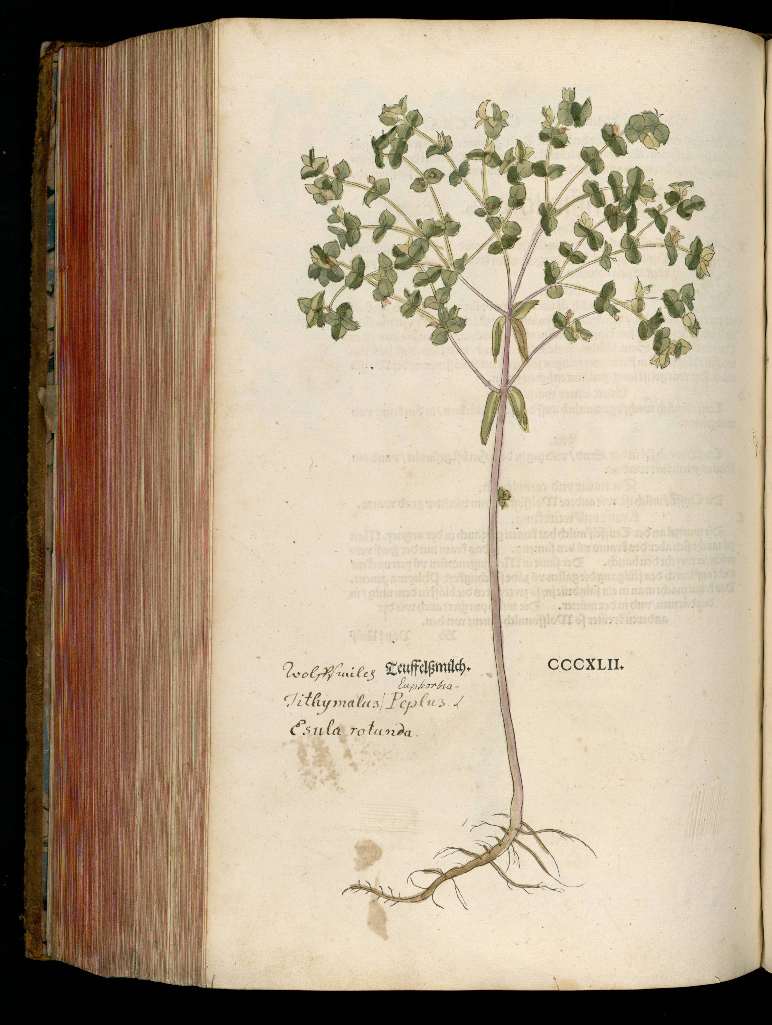 no full size  illustration available (3a)