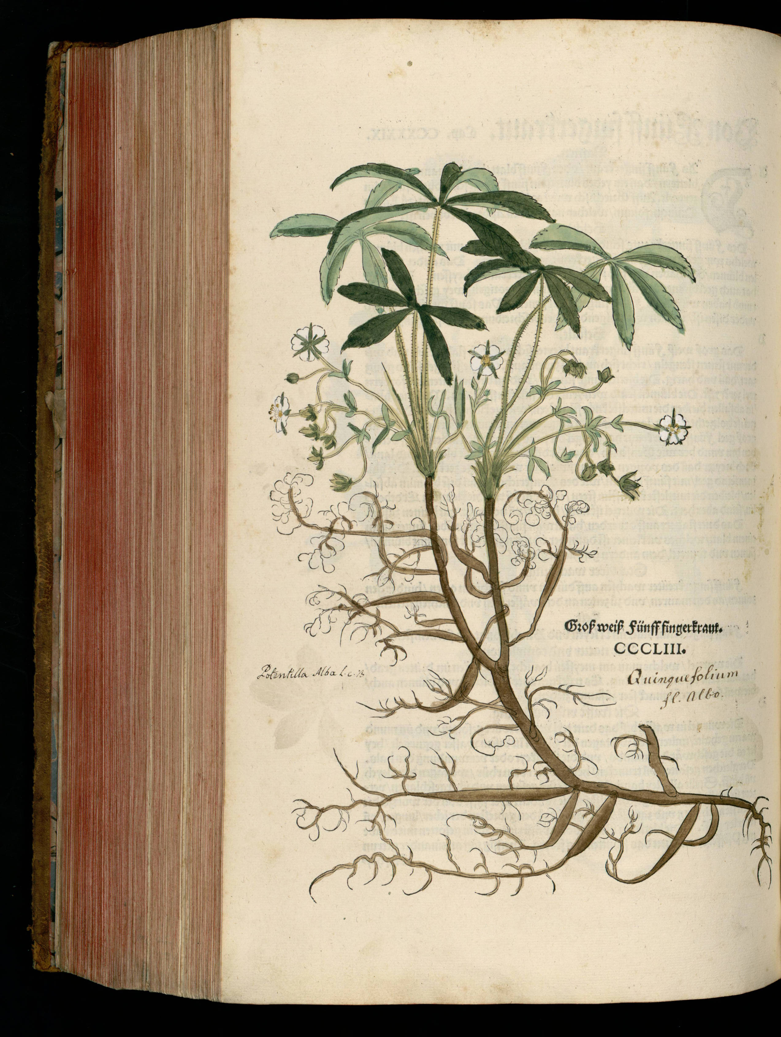 no full size  illustration available (3a)