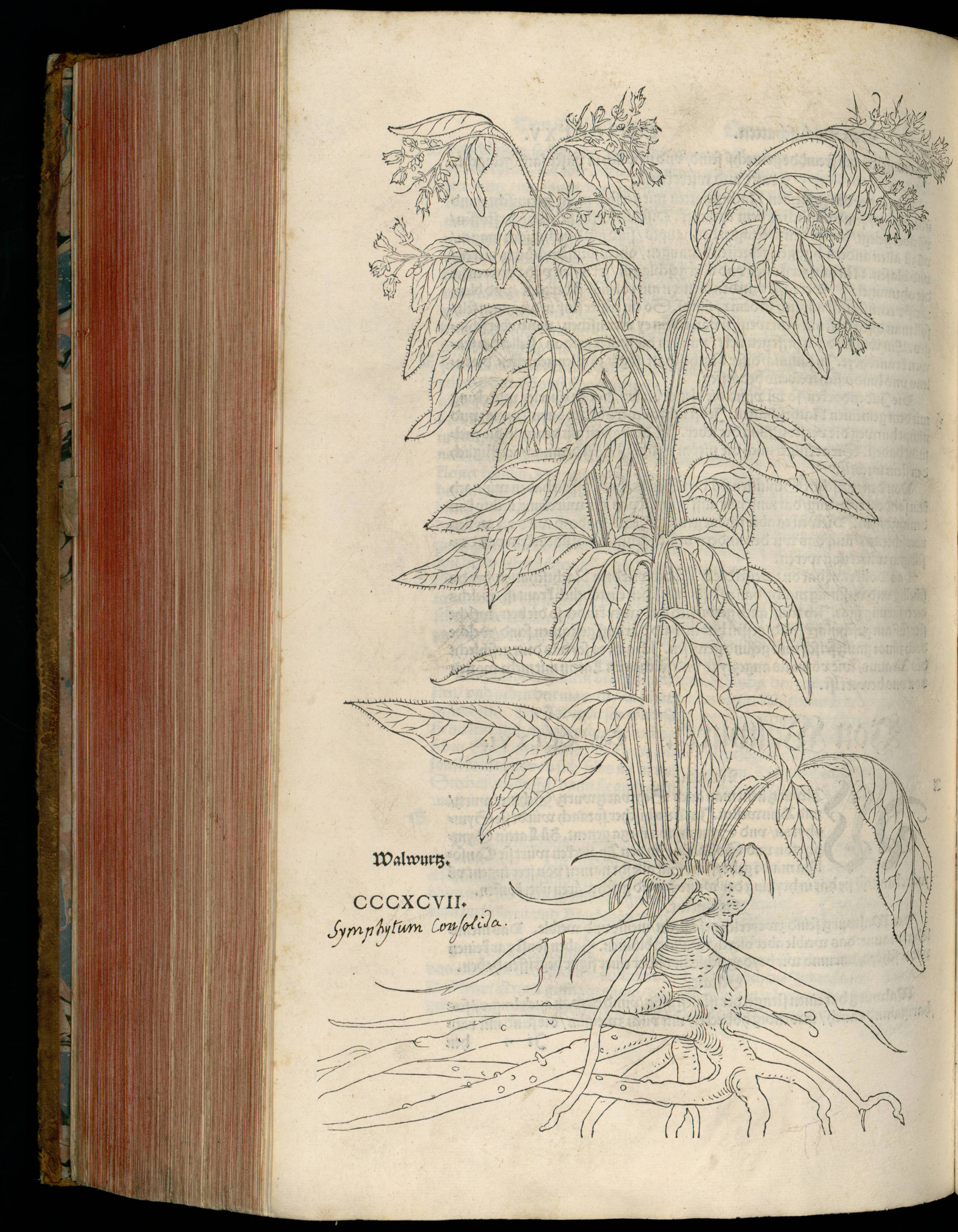 no full size  illustration available (3a)