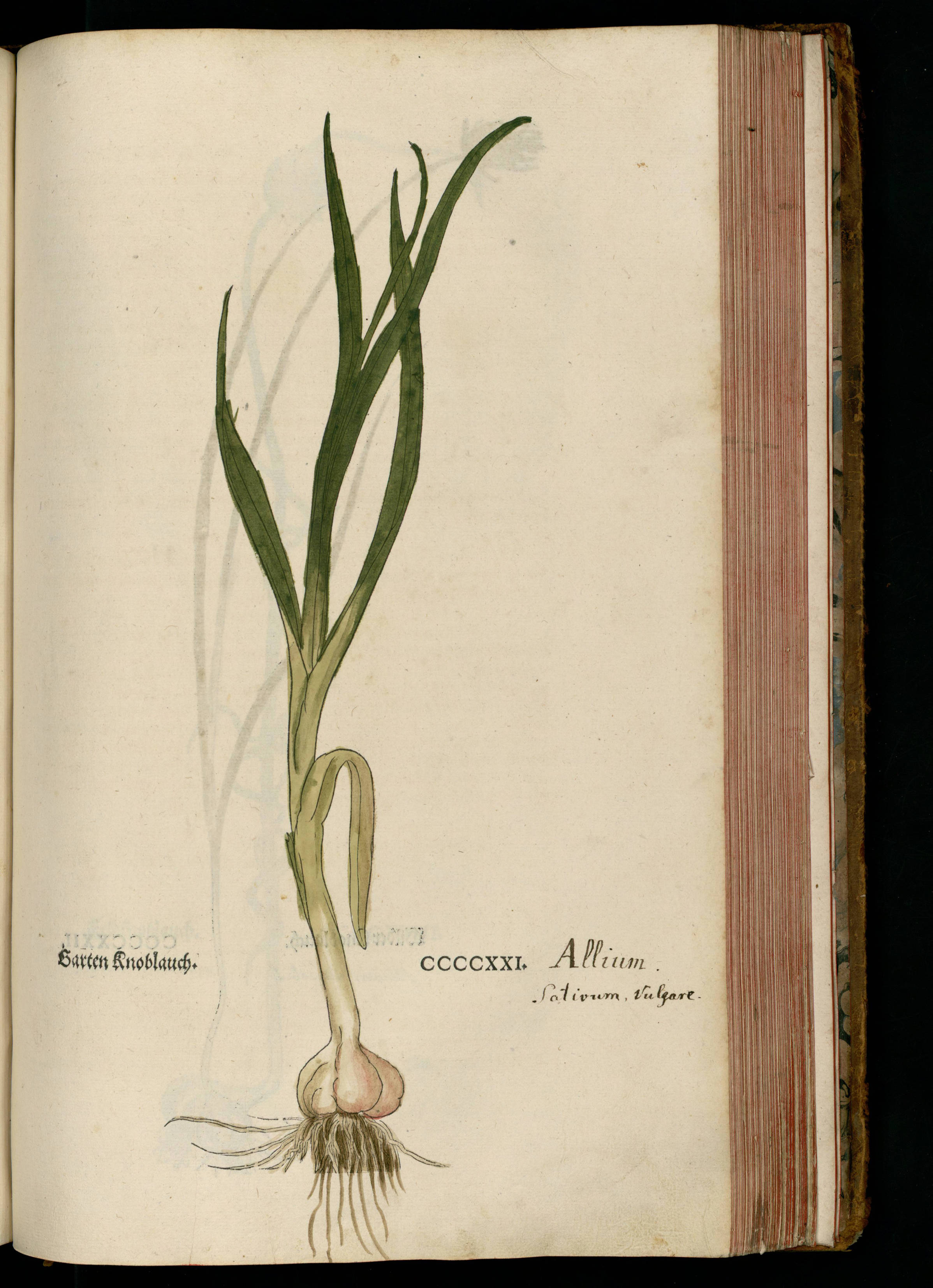 no full size  illustration available (3a)