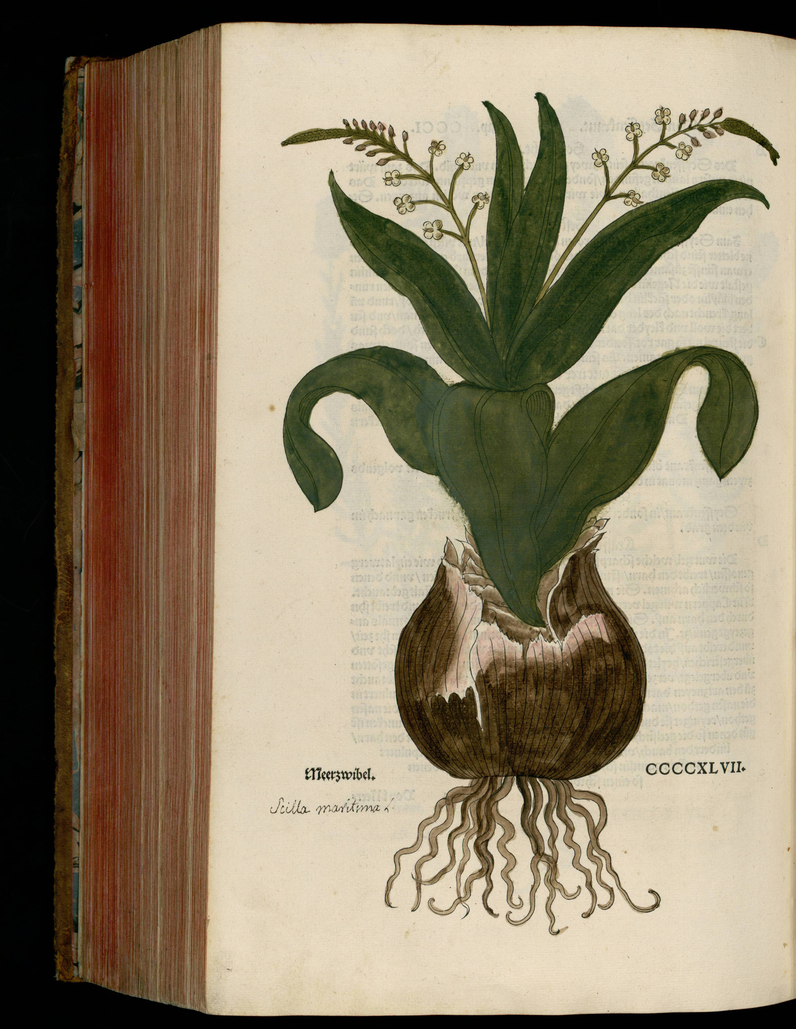 no full size  illustration available (3a)