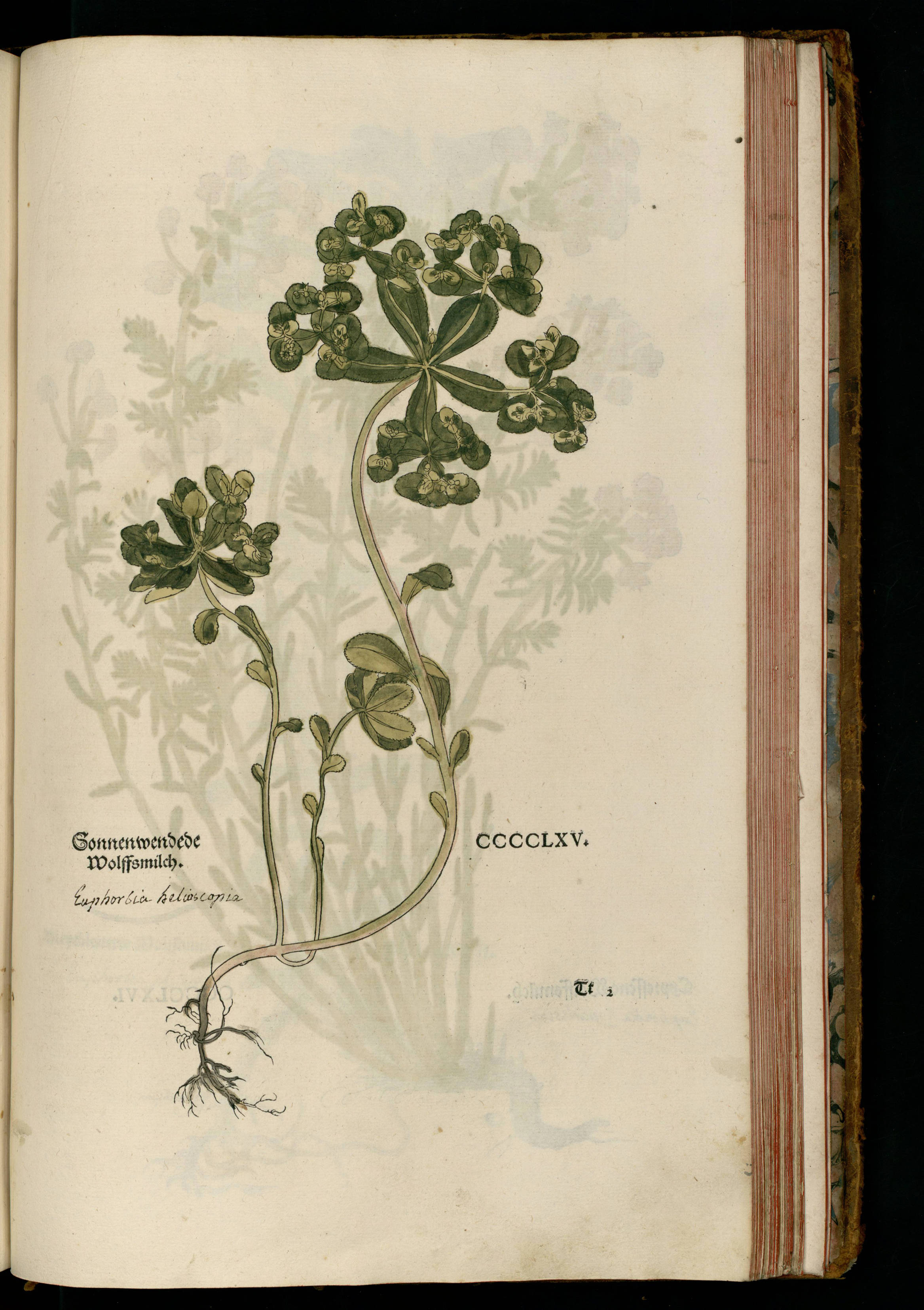 no full size  illustration available (3a)